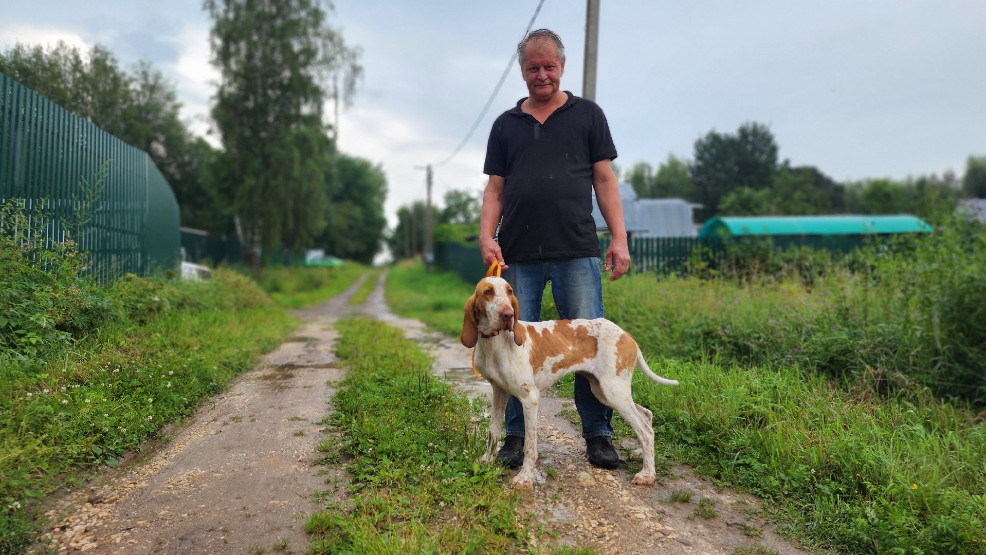 волоколамск, опекунство, приемные дети, лошади,