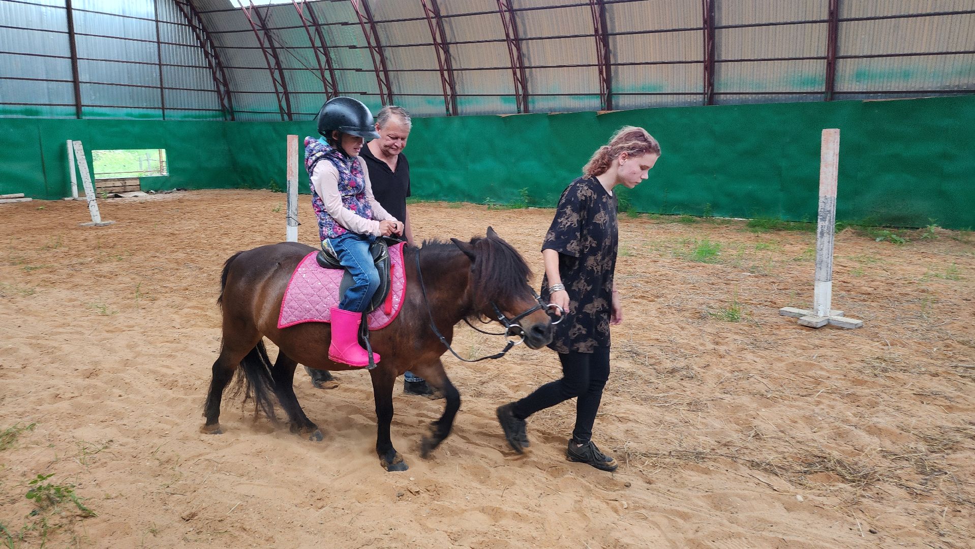 волоколамск, опекунство, приемные дети, лошади,