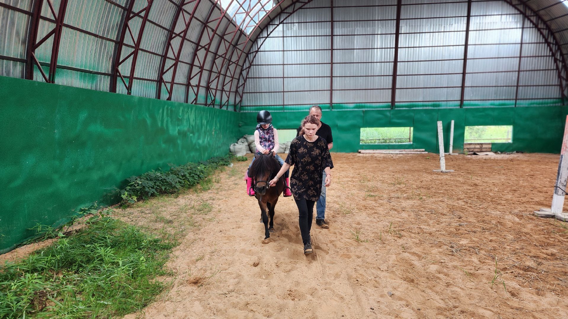 волоколамск, опекунство, приемные дети, лошади,