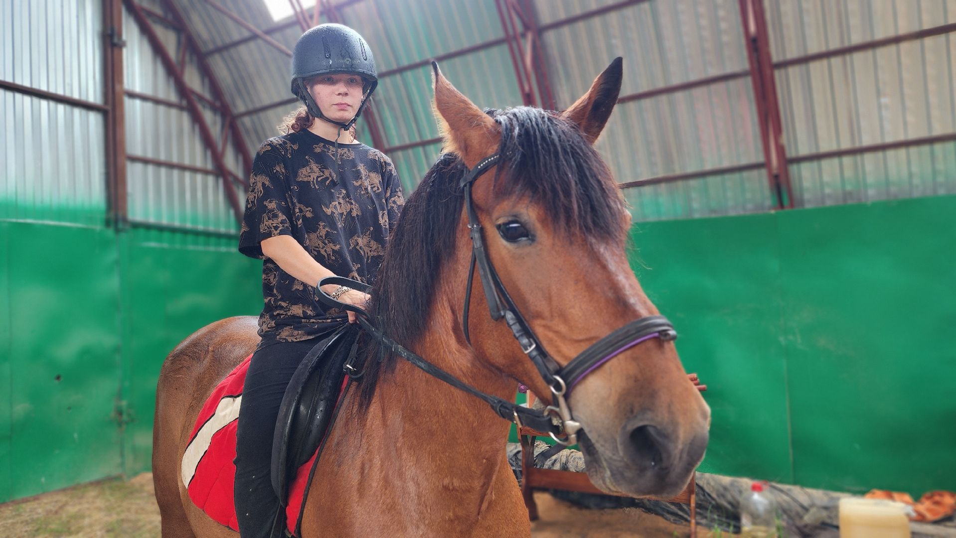 волоколамск, опекунство, приемные дети, лошади,