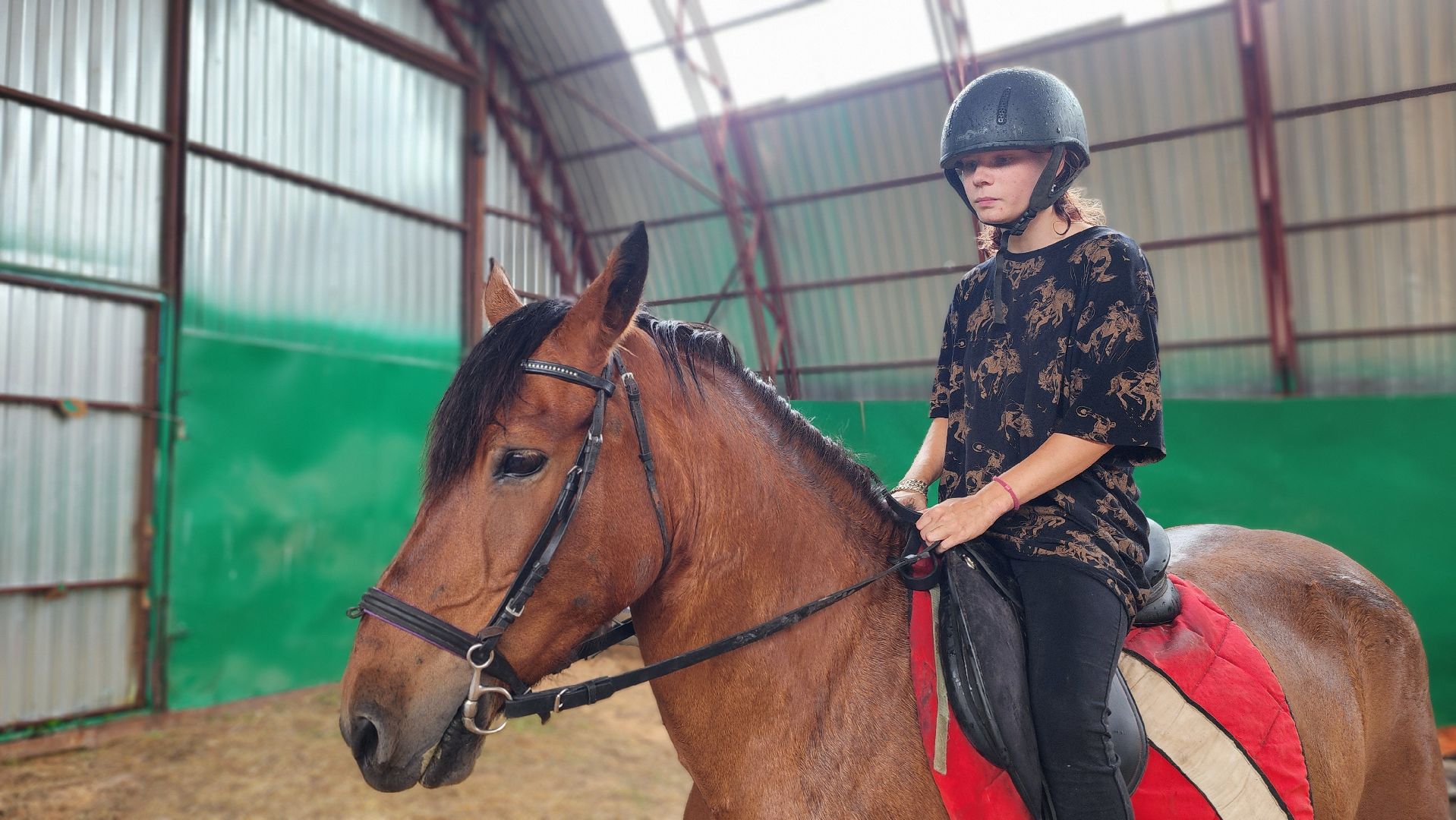 волоколамск, опекунство, приемные дети, лошади,