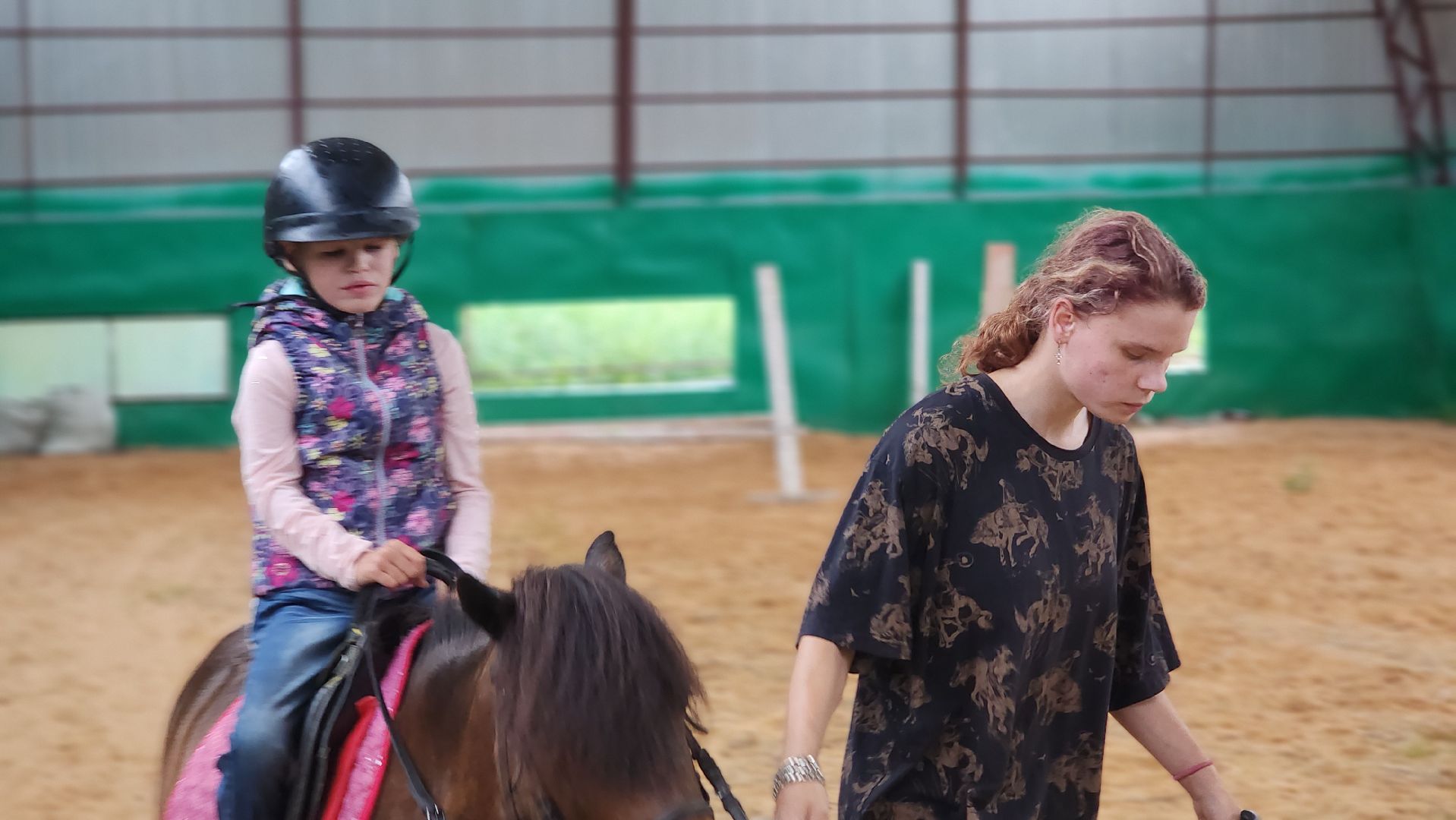 волоколамск, опекунство, приемные дети, лошади,