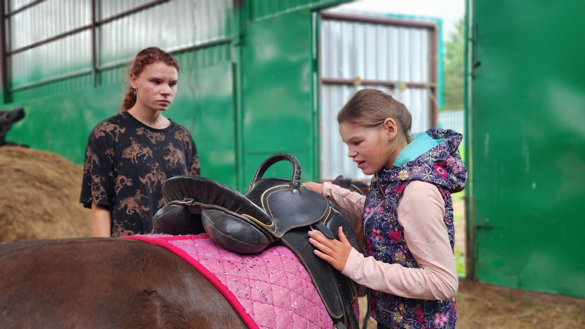 волоколамск, опекунство, приемные дети, лошади,