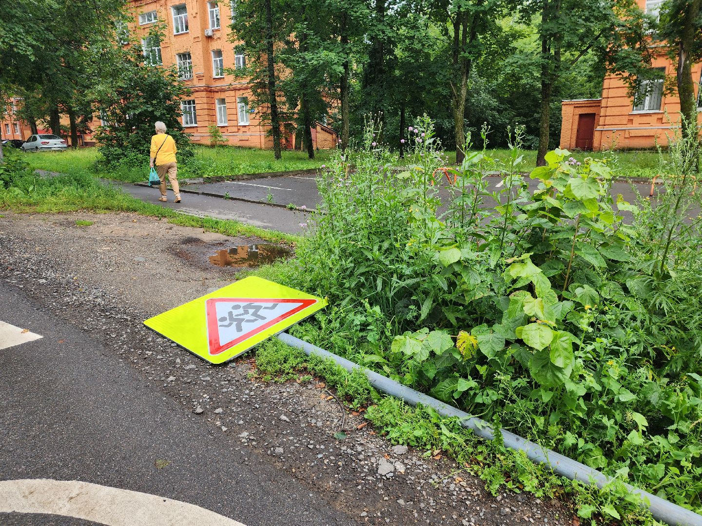 красноармейск, городской округ пушкинский, дорожные знаки, острожно дети,