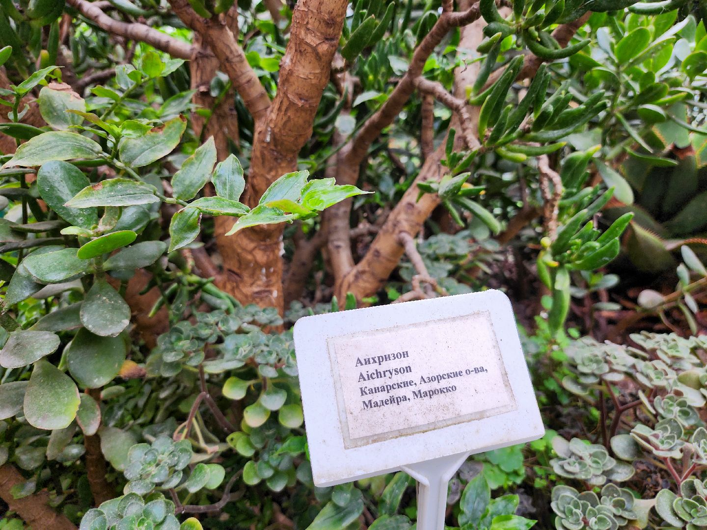 Подольск, школа 29 имени забродина, профильные классы, ветеринарный класс,набор учеников,