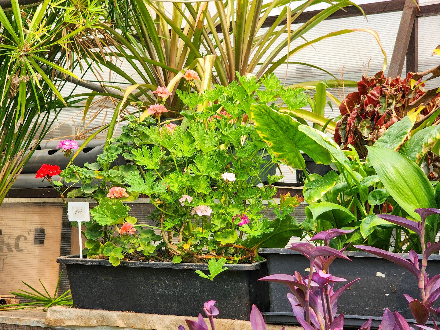 Подольск, школа 29 имени забродина, профильные классы, ветеринарный класс,набор учеников,