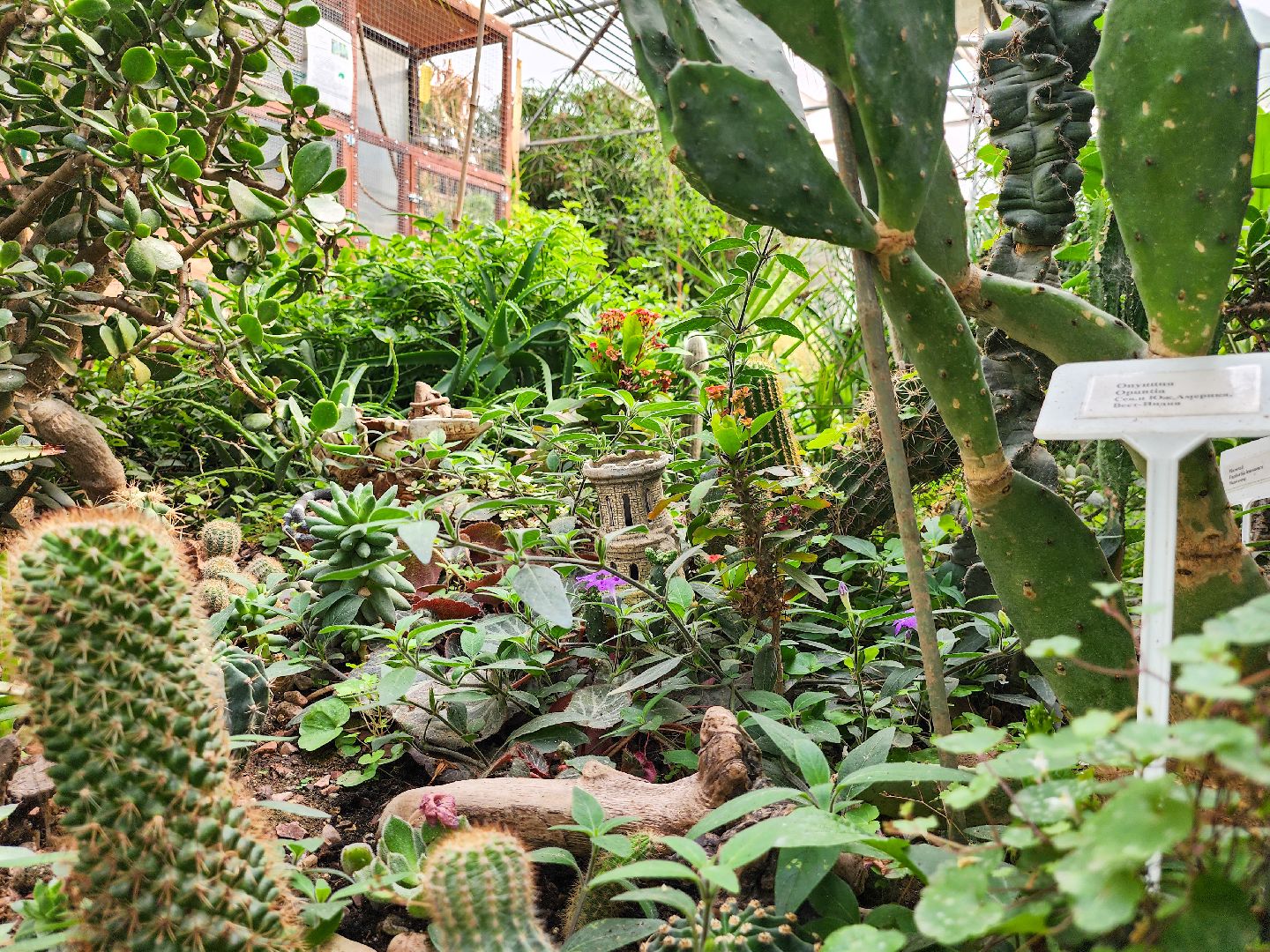 Подольск, школа 29 имени забродина, профильные классы, ветеринарный класс,набор учеников,