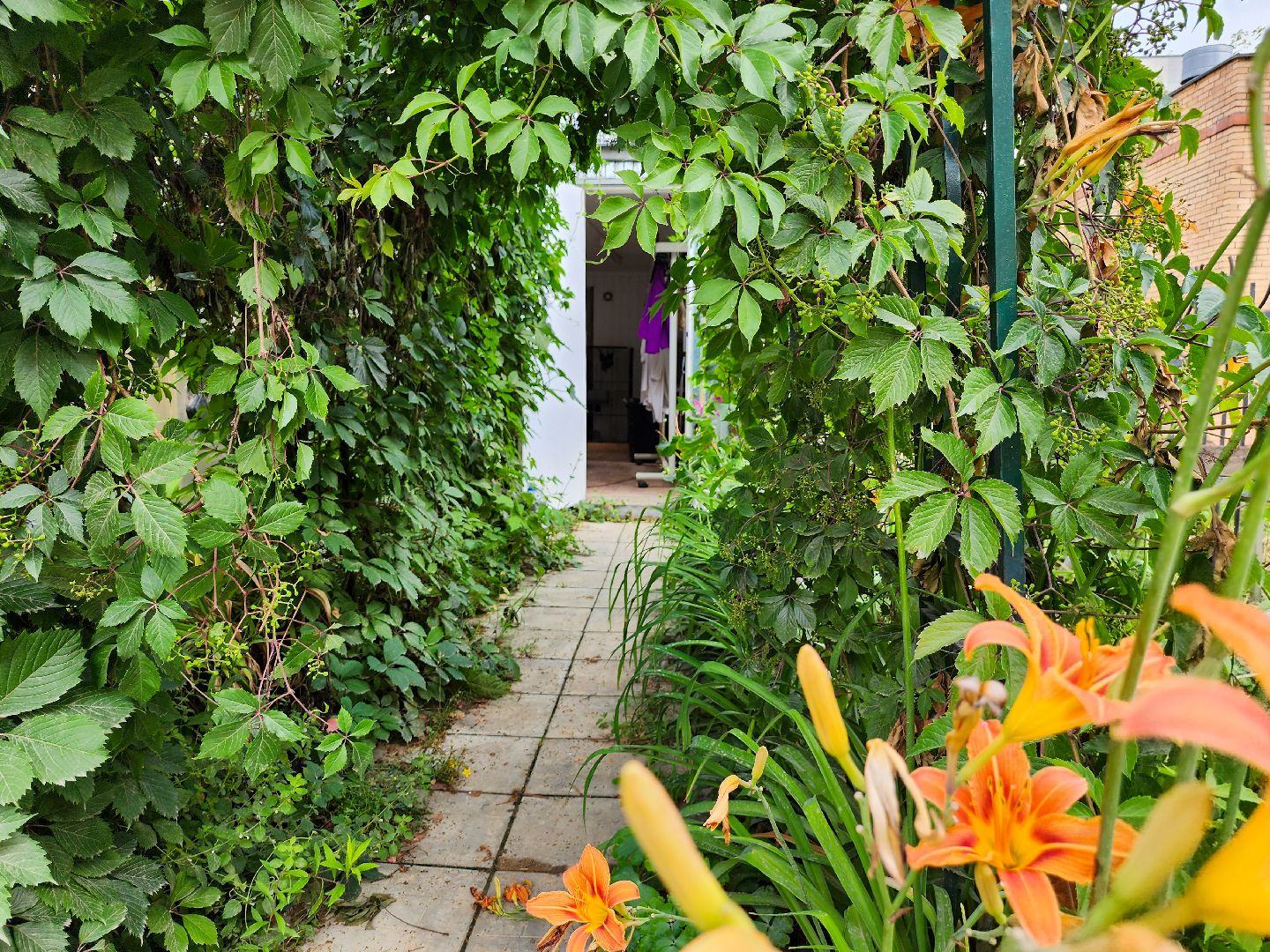 Подольск, школа 29 имени забродина, профильные классы, ветеринарный класс,набор учеников,