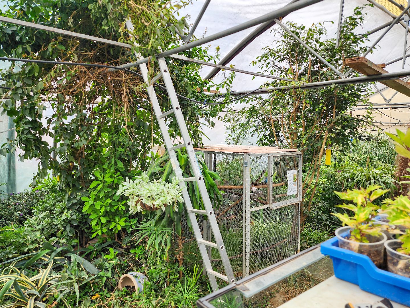 Подольск, школа 29 имени забродина, профильные классы, ветеринарный класс,набор учеников,