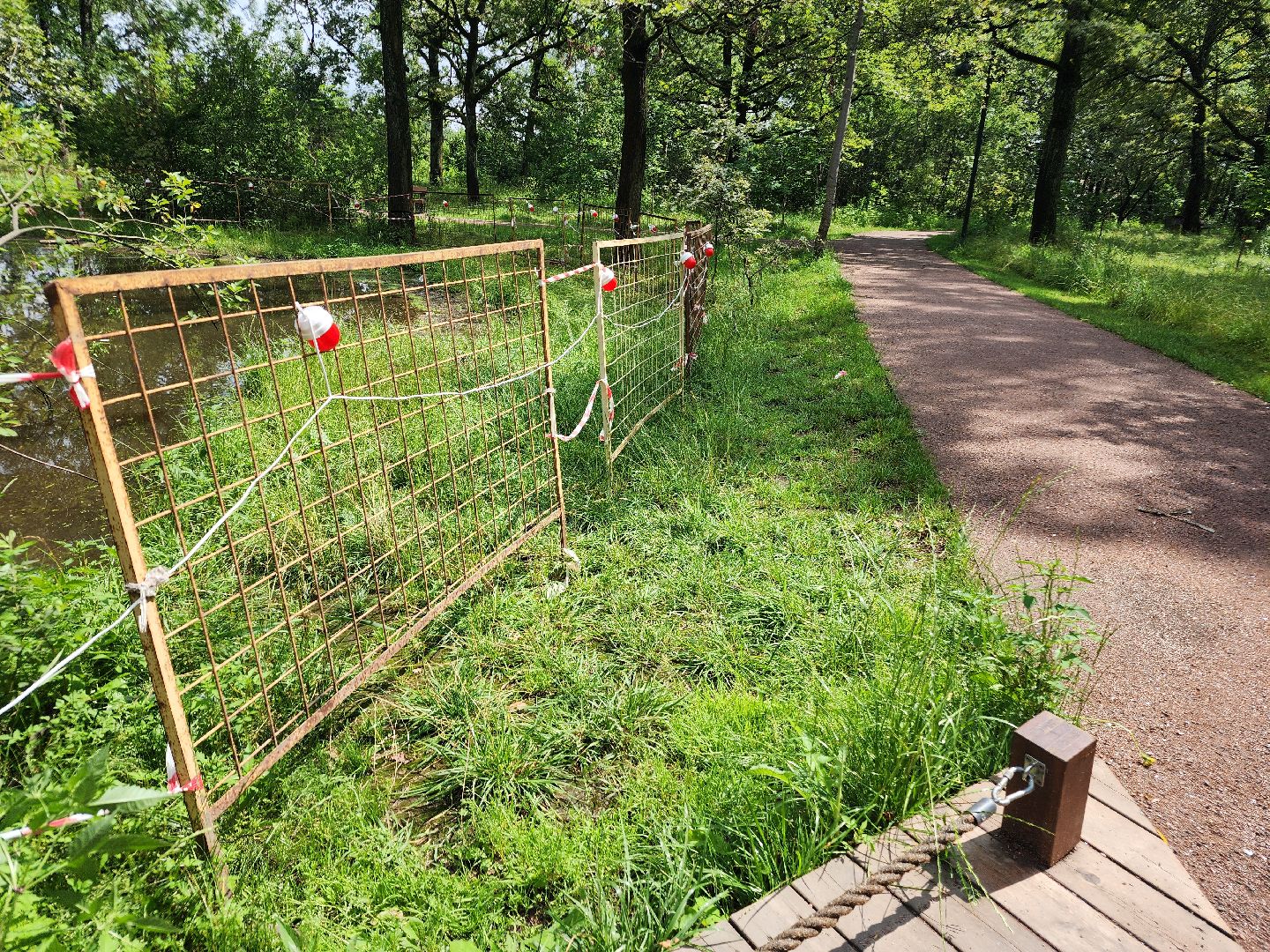 фрязино, благоустройство, лесопарк, очистка пруда,