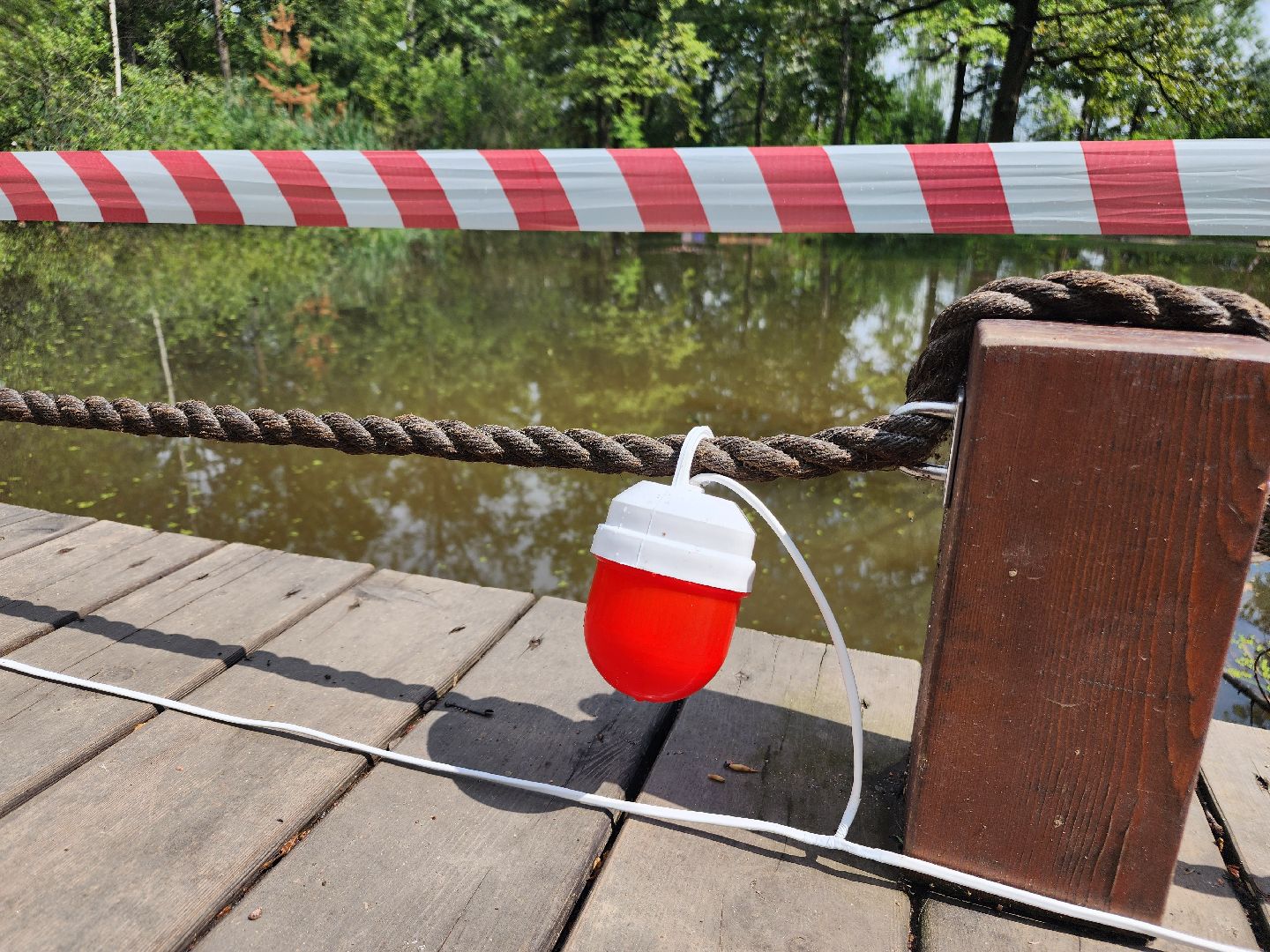 фрязино, благоустройство, лесопарк, очистка пруда,