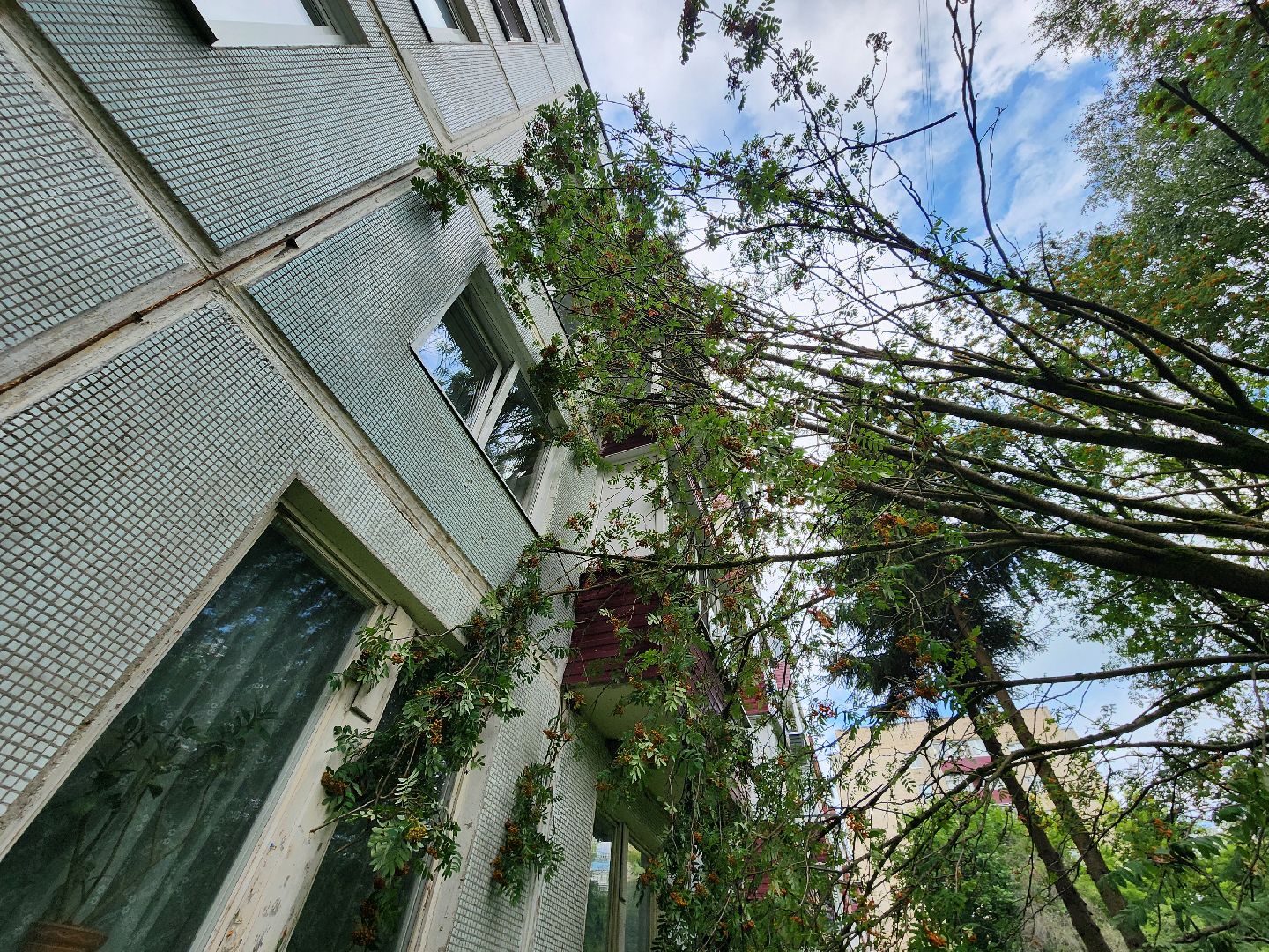 чехов, вокзальная площадь 2, аварийные деревья, удаление упавших деревьев, сухостой, содержание придомовой территории, мбу чеховское благоустройство, уборка веток,содержание двора,добродел,