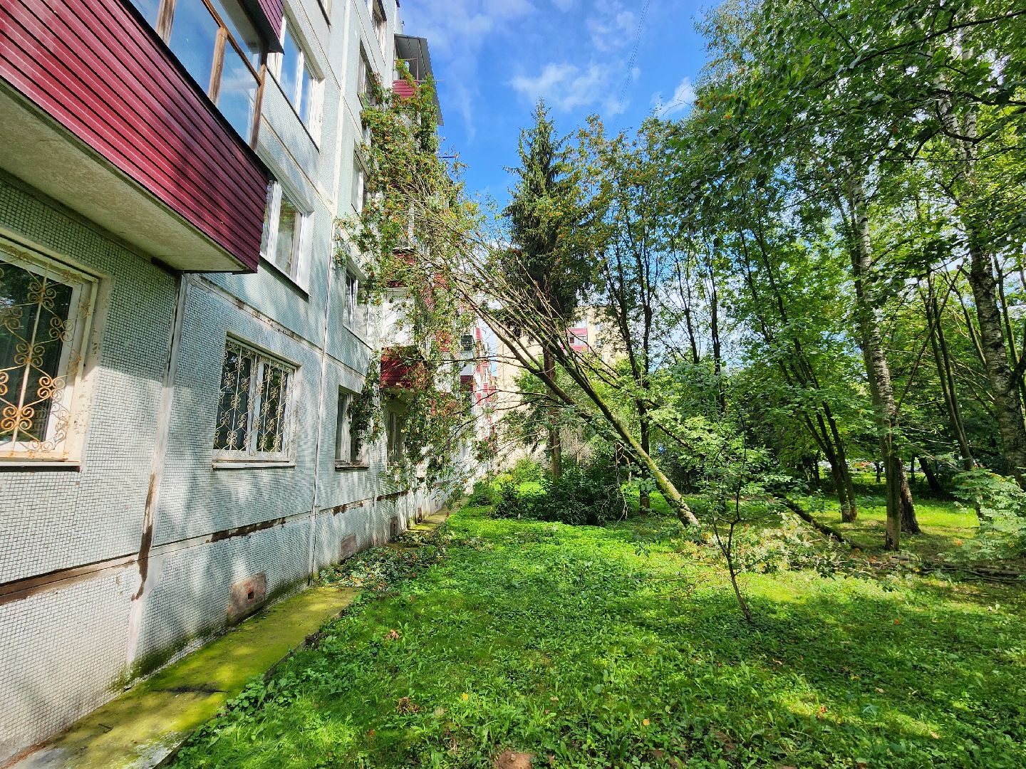 чехов, вокзальная площадь 2, аварийные деревья, удаление упавших деревьев, сухостой, содержание придомовой территории, мбу чеховское благоустройство, уборка веток,содержание двора,добродел,