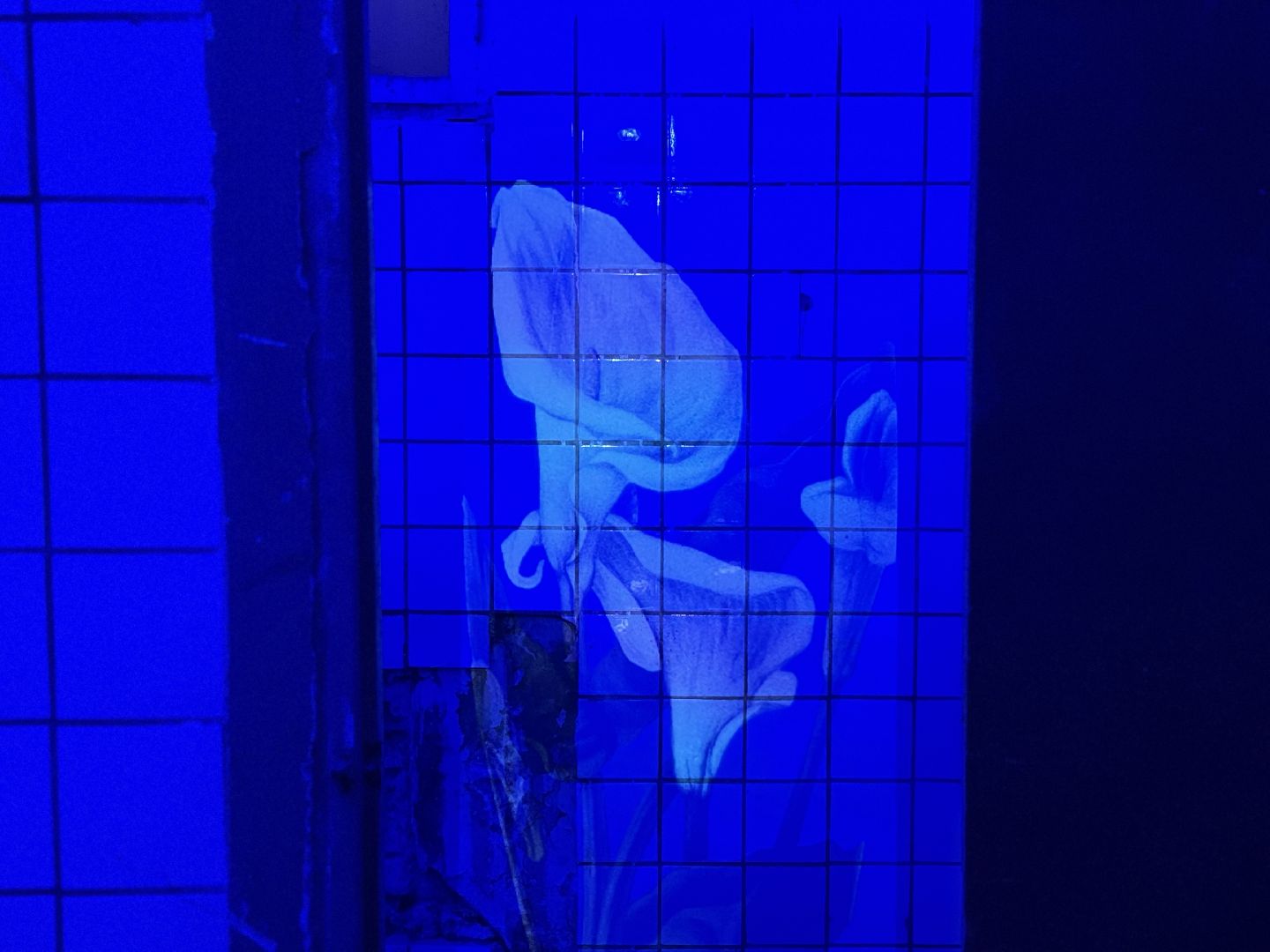 фестиваль заповедное, музей заповедник горки ленинские, художники россии,