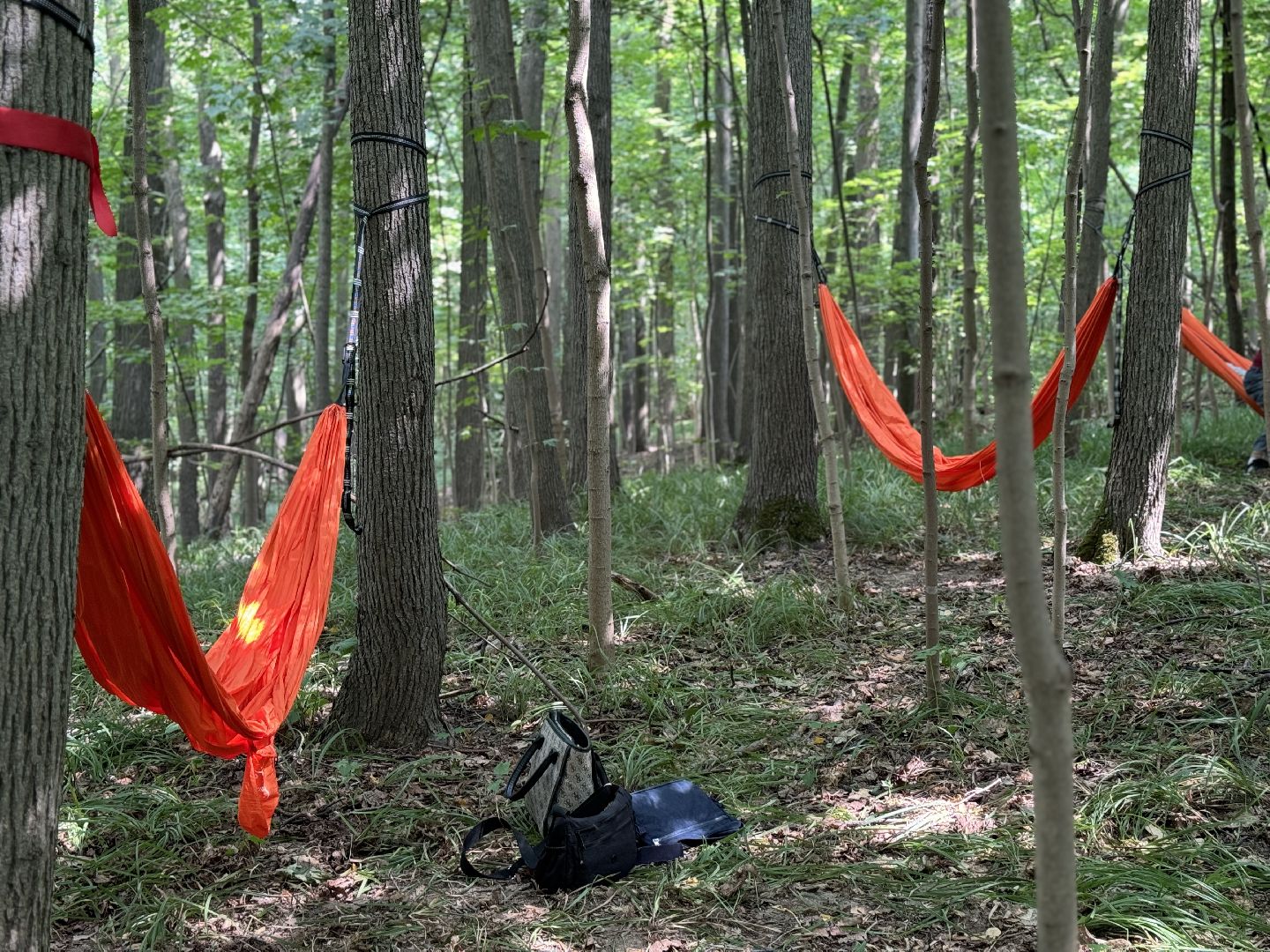 фестиваль заповедное, музей заповедник горки ленинские, художники россии,