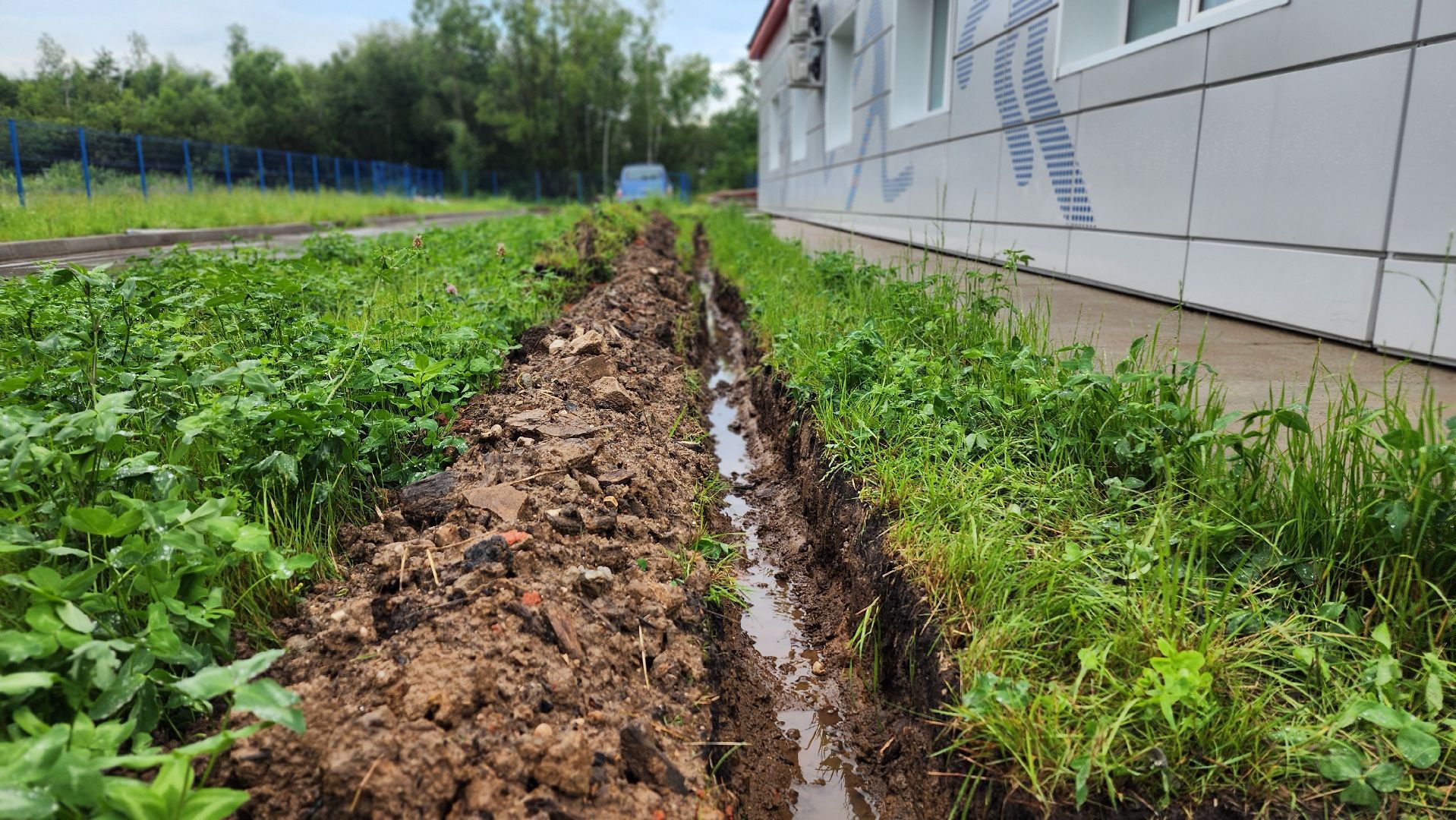 ремонт спортивного сооружения, волоколамск, гвардия,