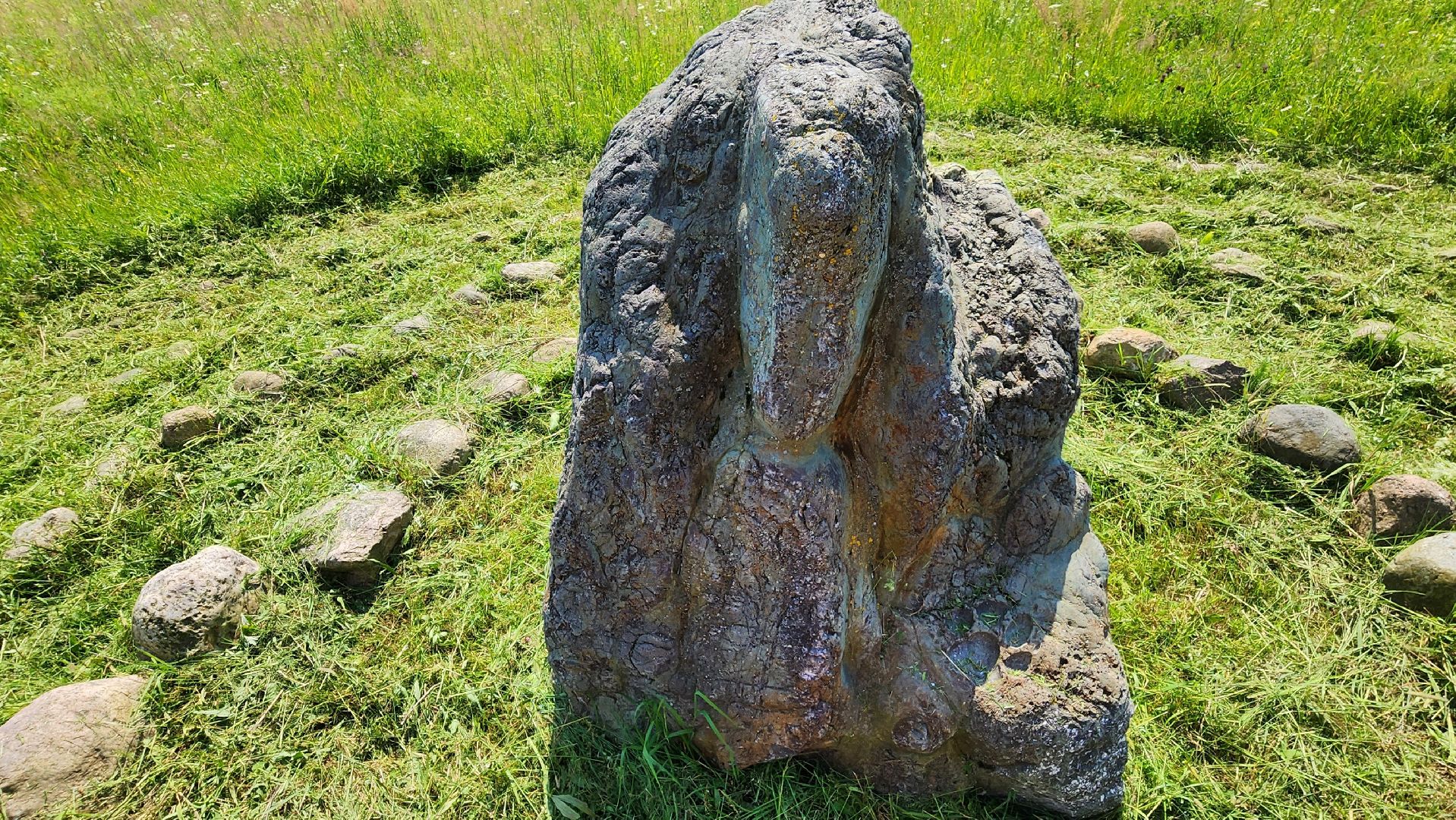 руза, хаски-деревня, рузская аляска, камень желаний,