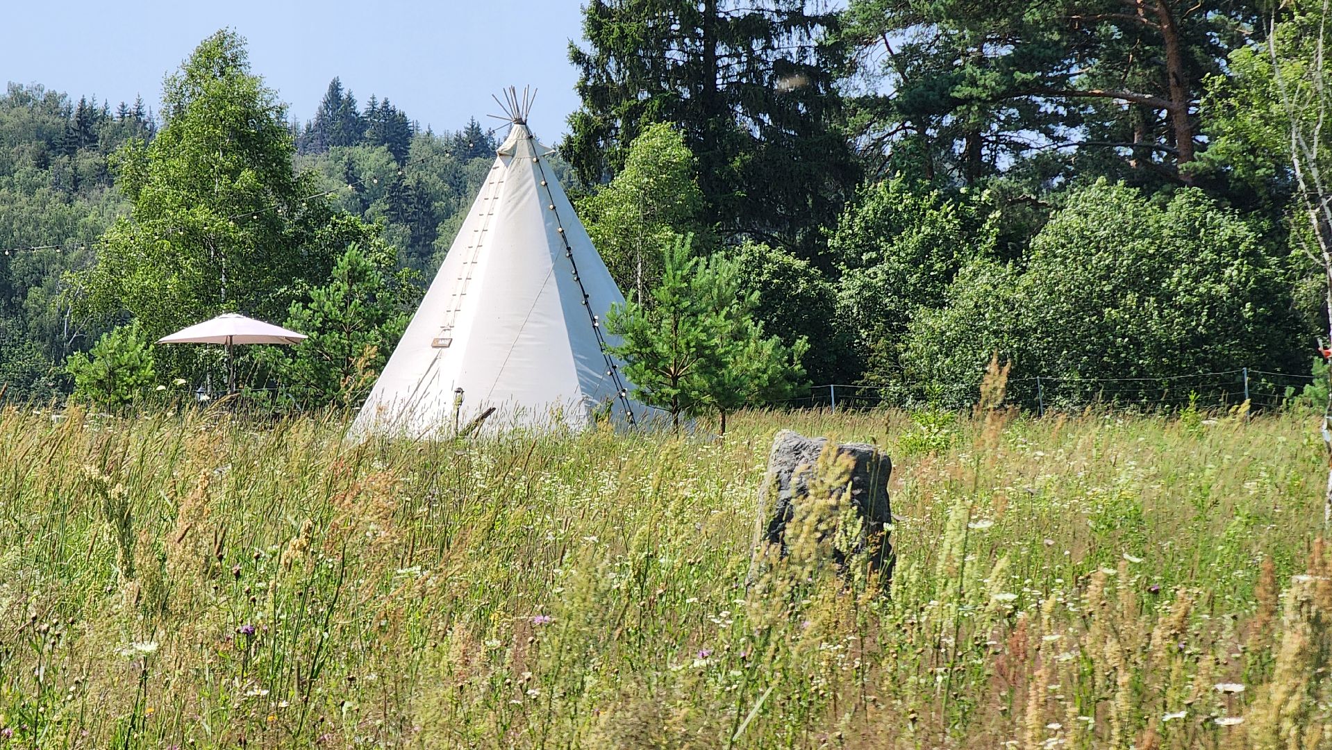 руза, хаски-деревня, рузская аляска, камень желаний,