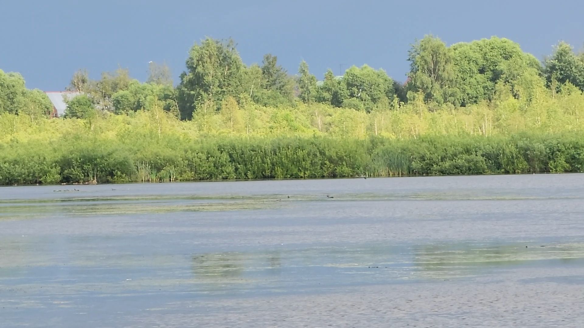 Озеро Киово, Лобня,