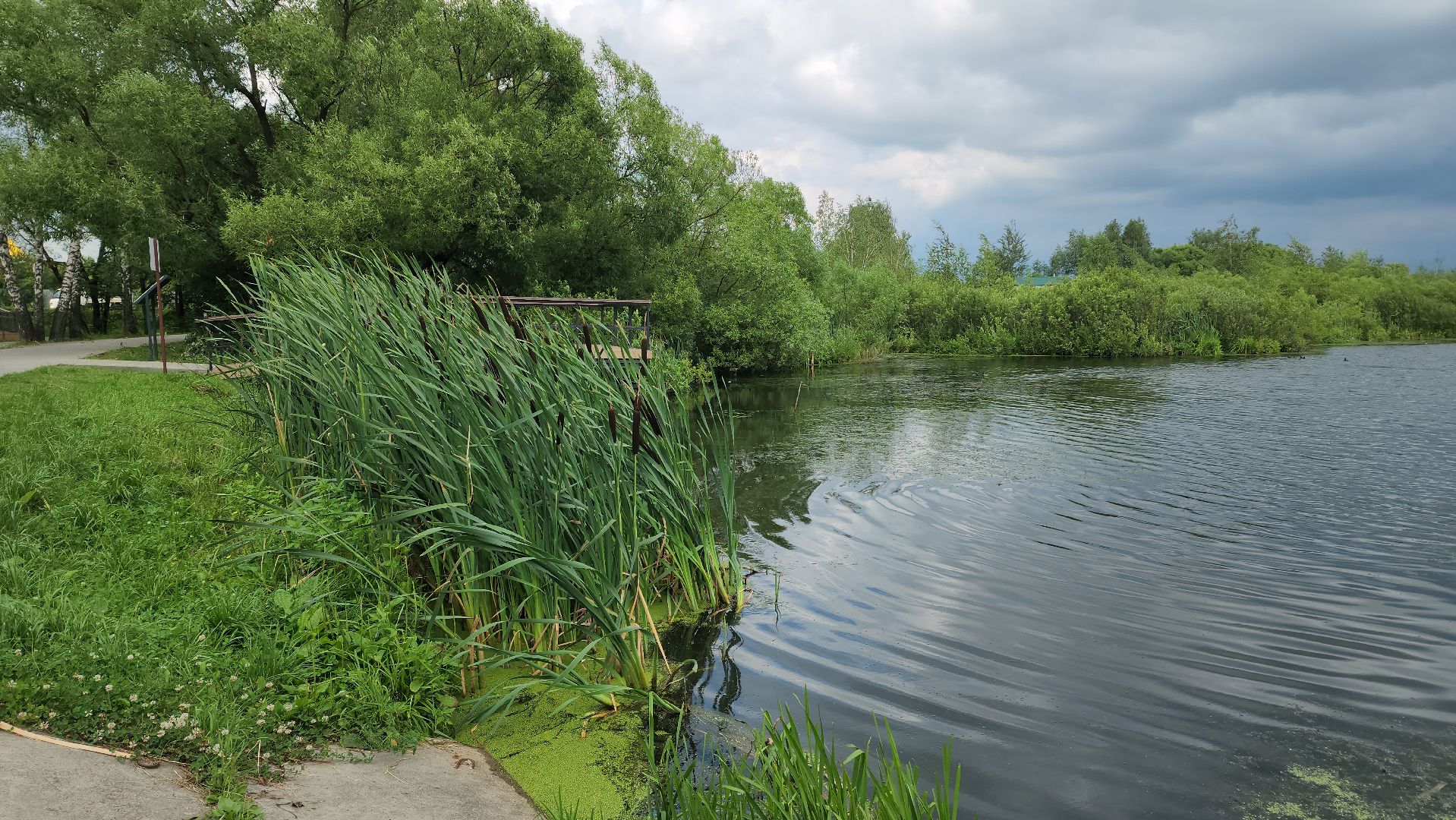 Озеро Киово, Лобня,