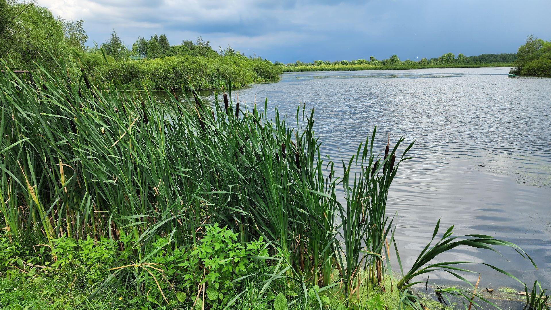 Озеро Киово, Лобня,