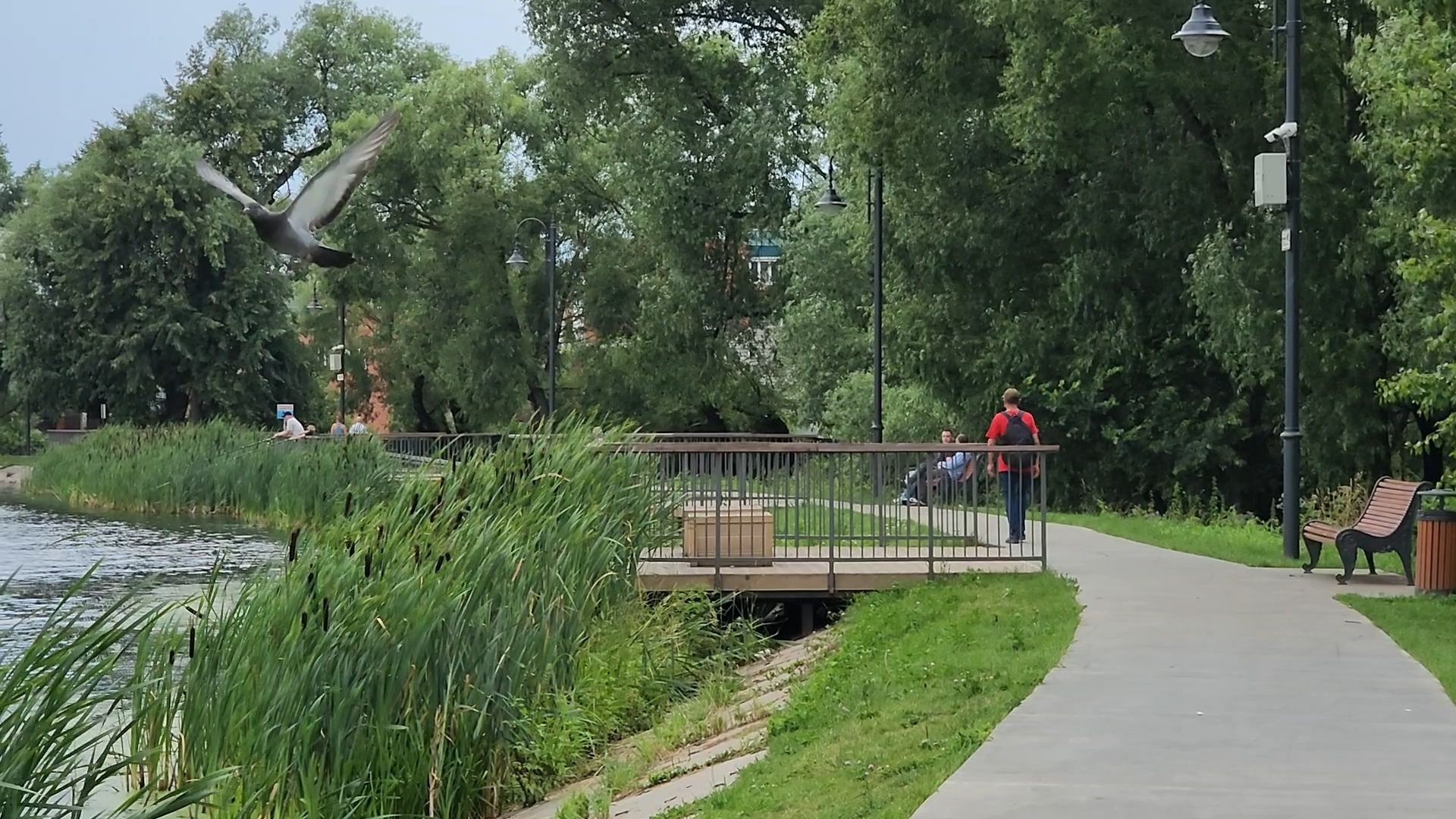 Озеро Киово, Лобня,