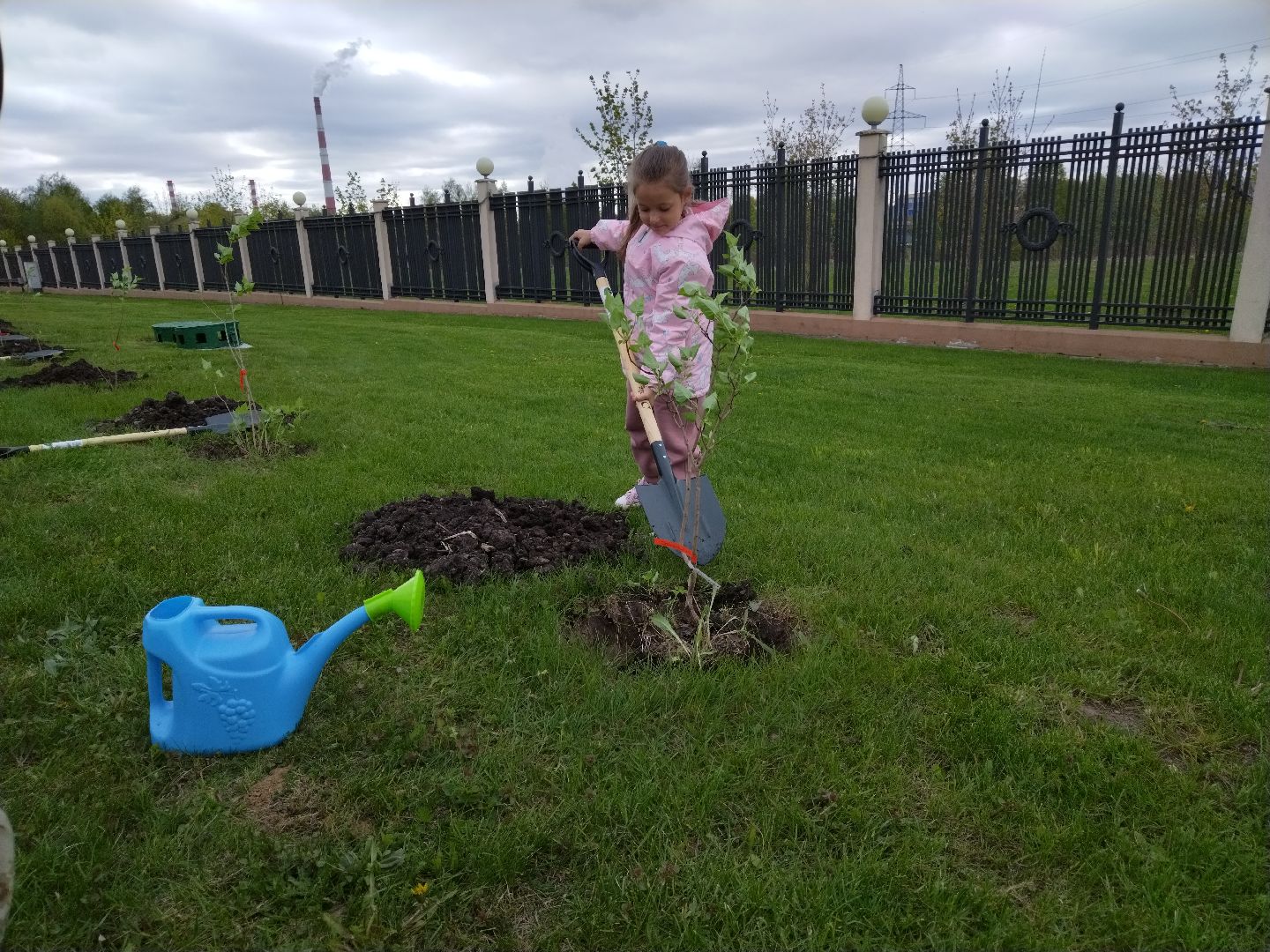 Живая память, Сирень победы, День Победы, 9 мая, Мытищи, Феофанов