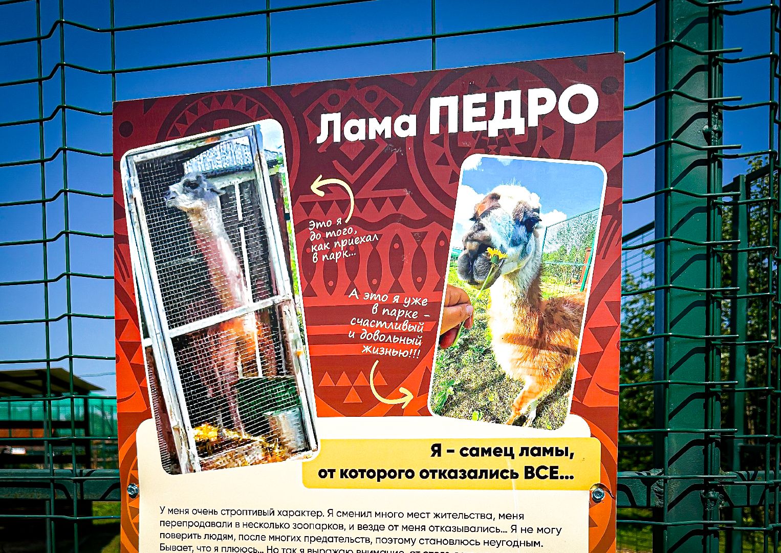 клин, общество, животные, туризм,