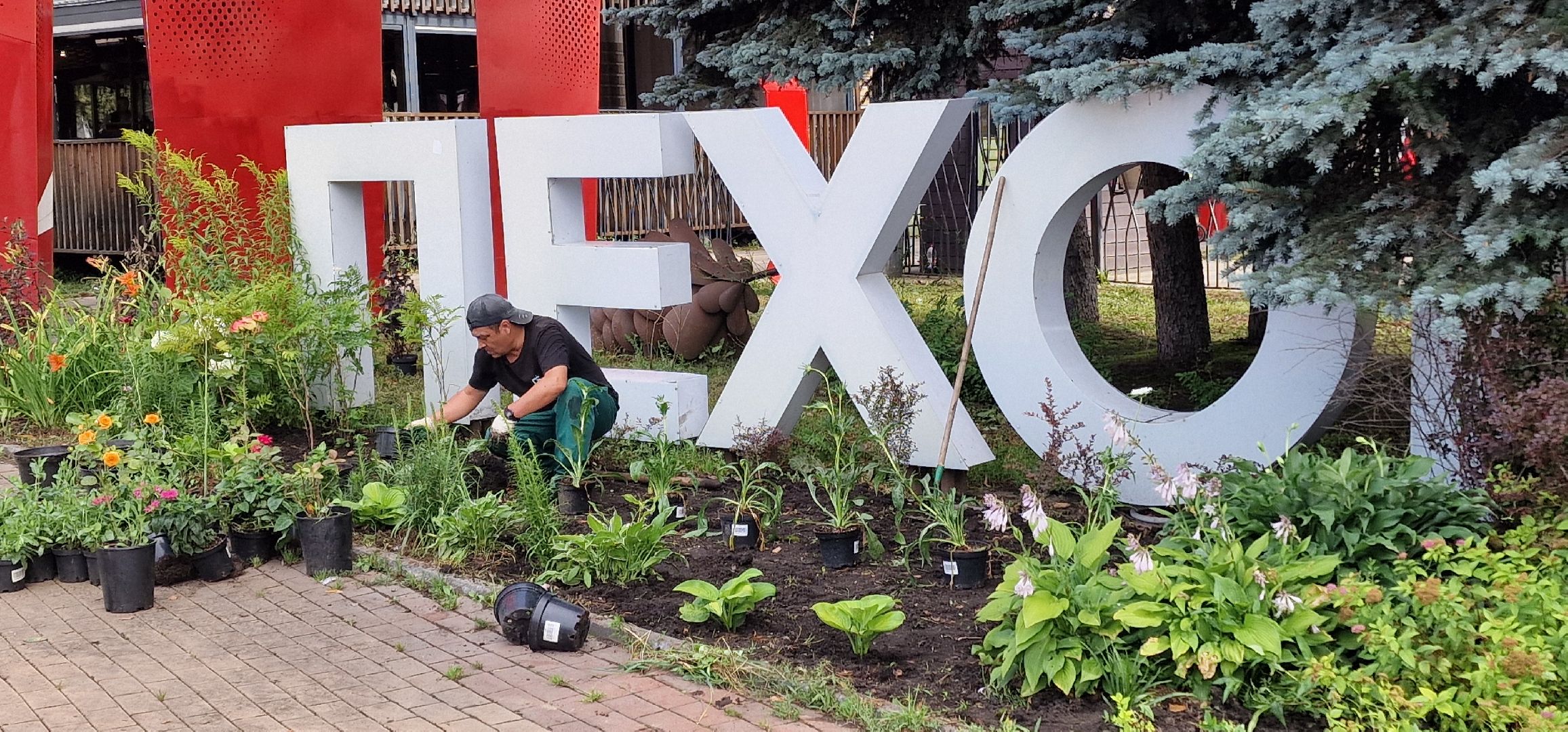 Балашиха, парк пехорка, высадка цветов,