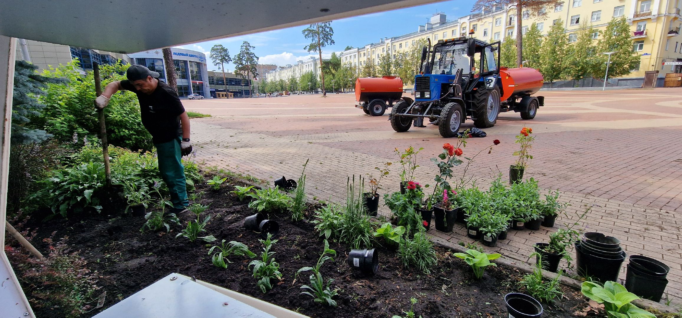 Балашиха, парк пехорка, высадка цветов,