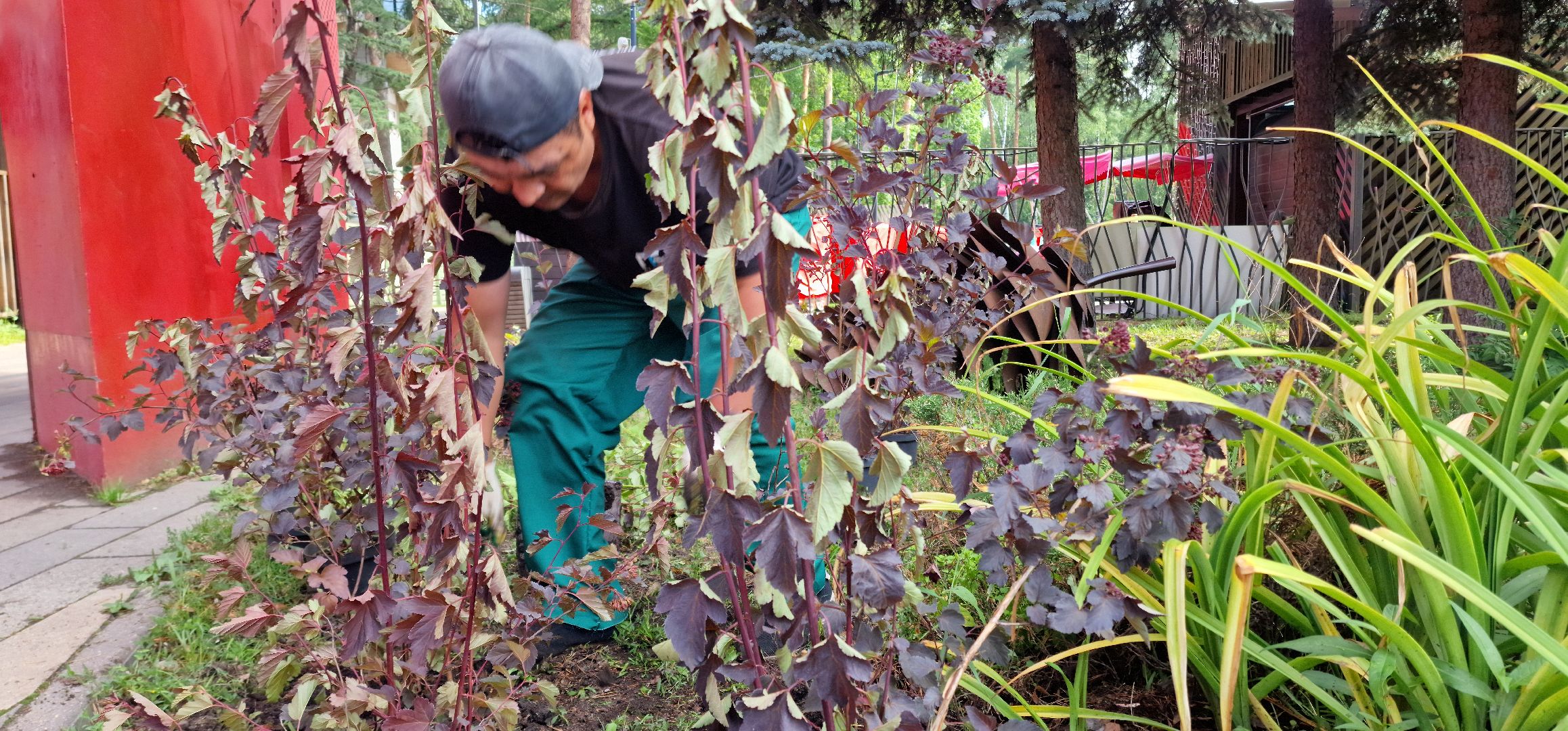 Балашиха, парк пехорка, высадка цветов,
