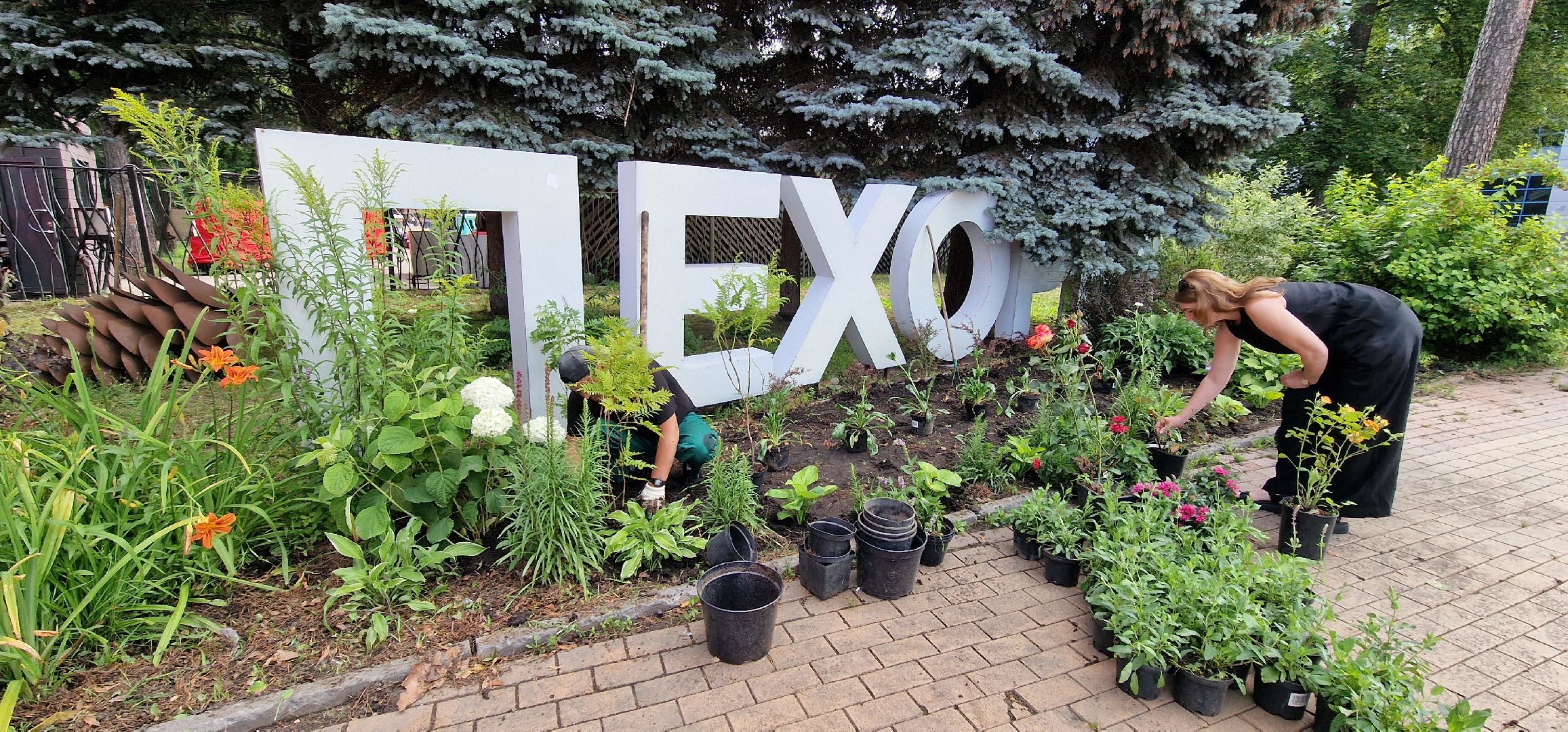 Балашиха, парк пехорка, высадка цветов,