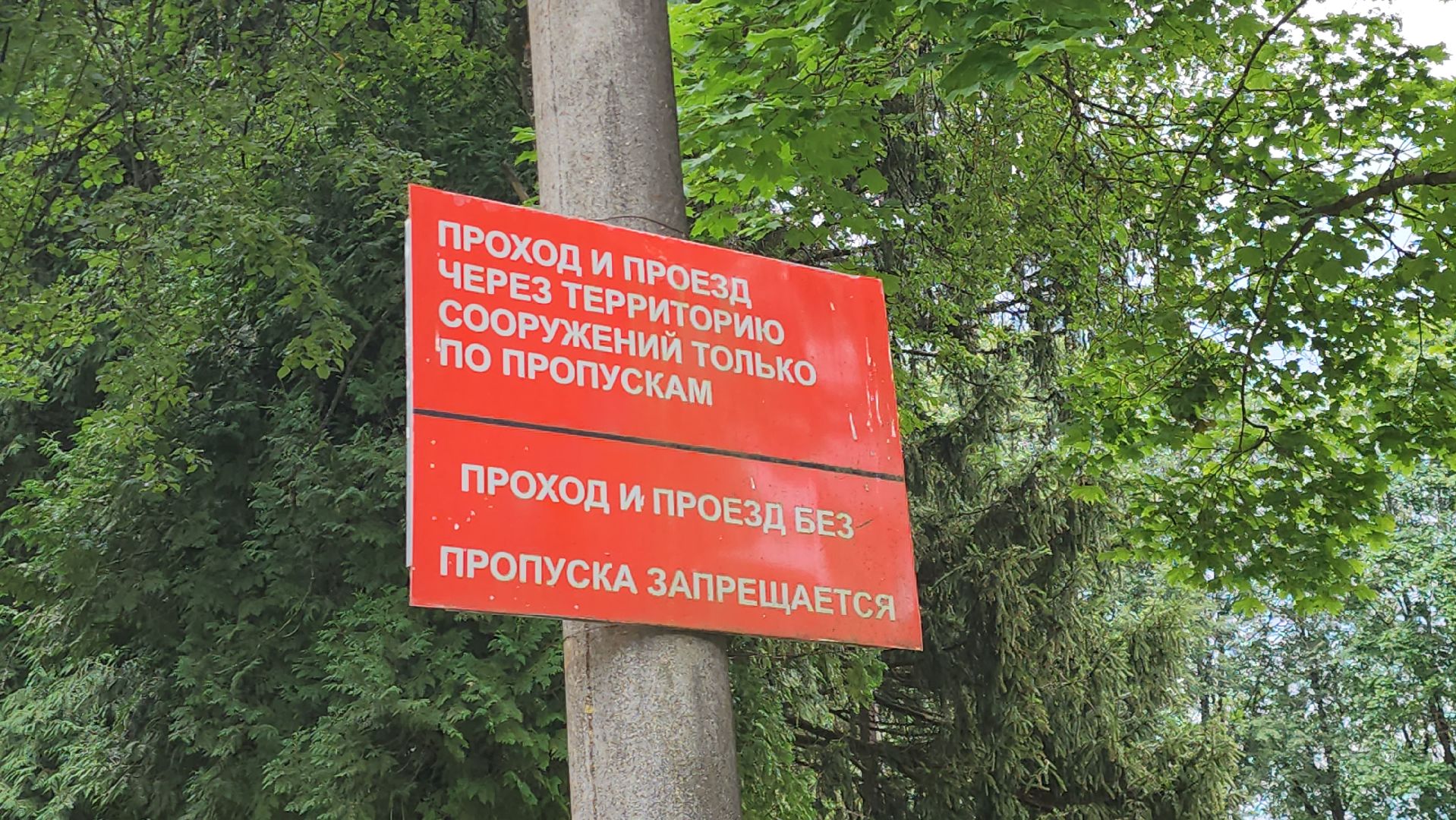 Истра, Спасение лося, Лось,животные,спасение животных,