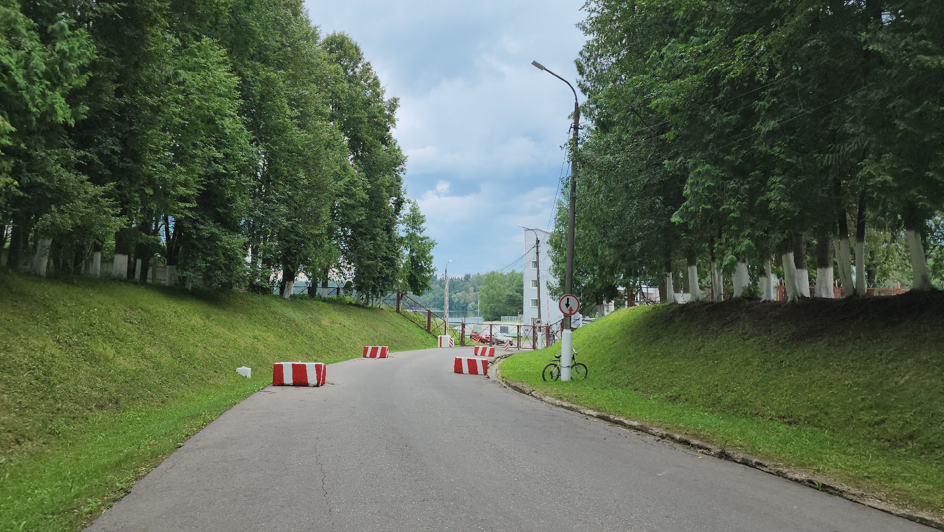 Истра, Спасение лося, Лось,животные,спасение животных,