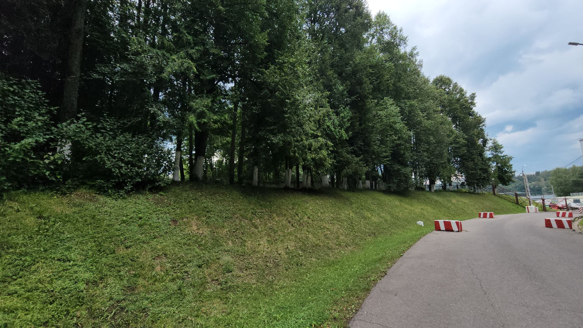 Истра, Спасение лося, Лось,животные,спасение животных,