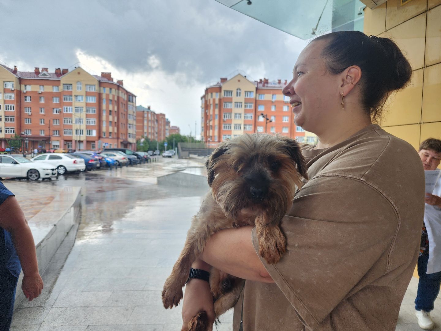 фрязино, чипирование домашних животных, домашние животные, ветеринарная служба,