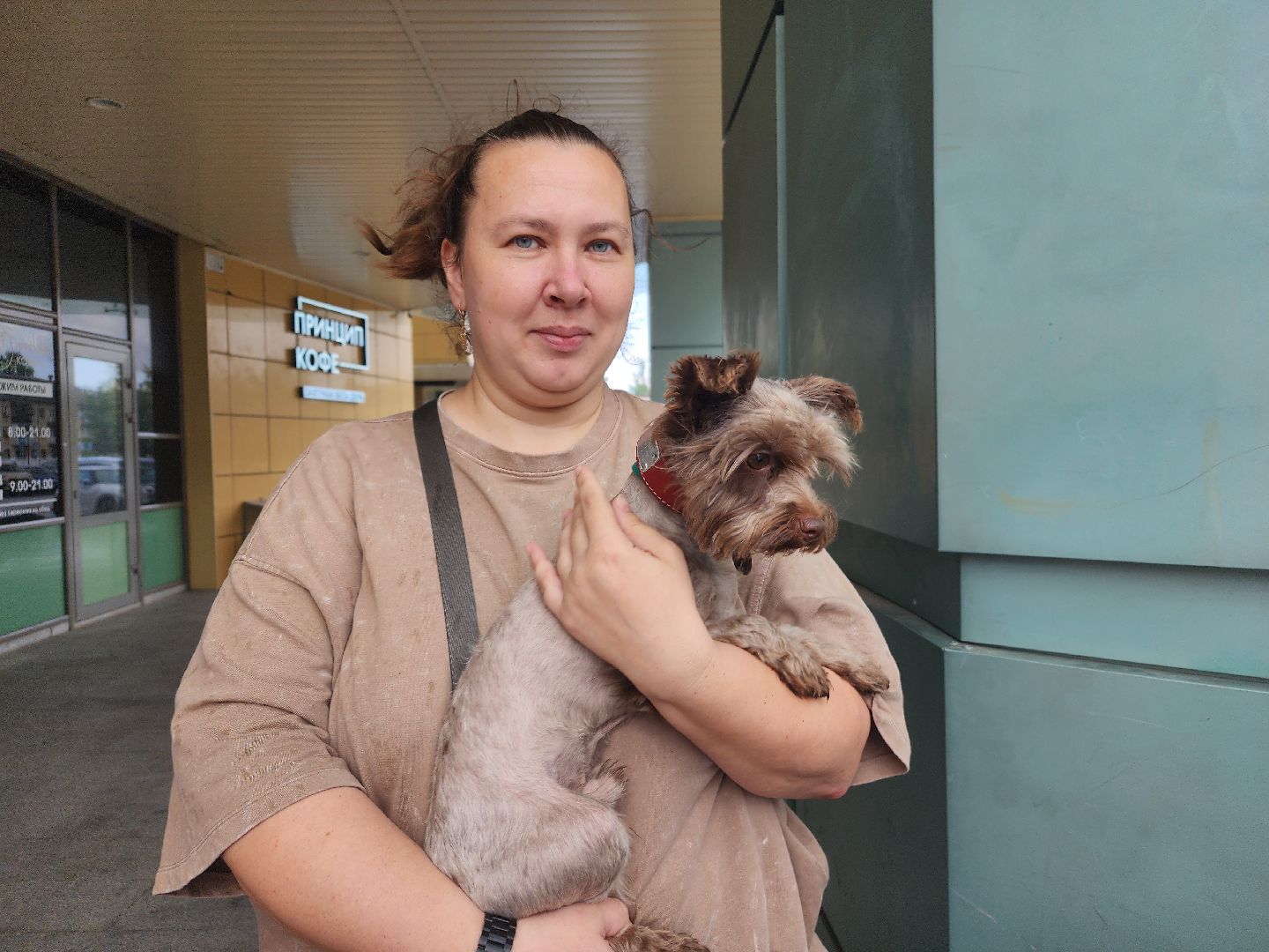 фрязино, чипирование домашних животных, домашние животные, ветеринарная служба,