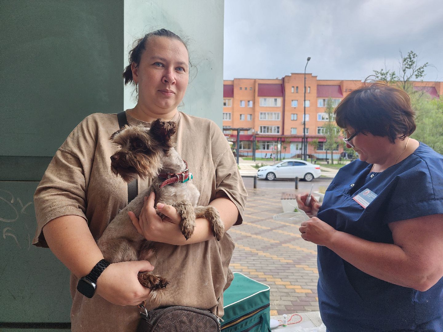 фрязино, чипирование домашних животных, домашние животные, ветеринарная служба,