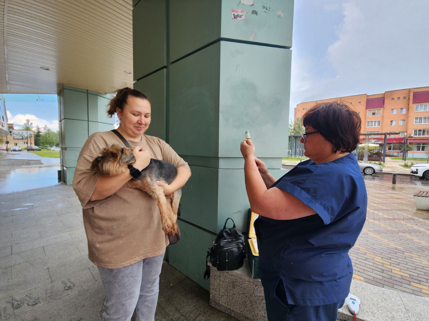 фрязино, чипирование домашних животных, домашние животные, ветеринарная служба,