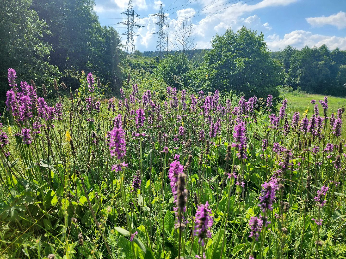 пущино, серпухов, туризм, необычные места,