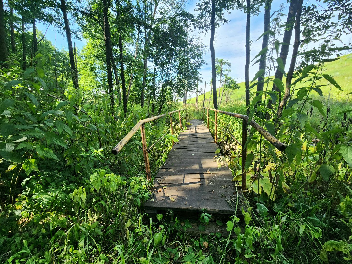 пущино, серпухов, туризм, необычные места,