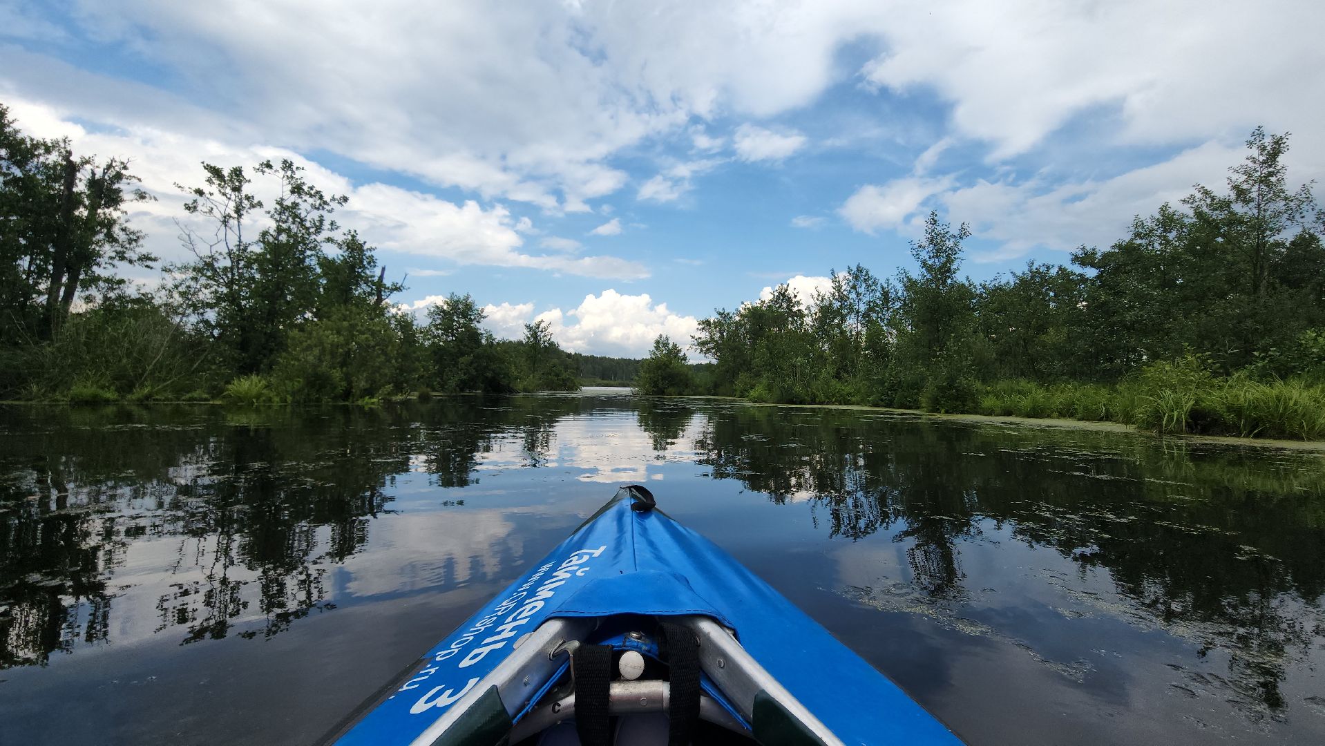 мытищи, лосиный остров,
