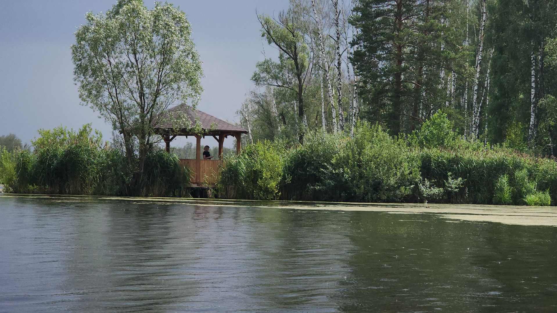 мытищи, лосиный остров,