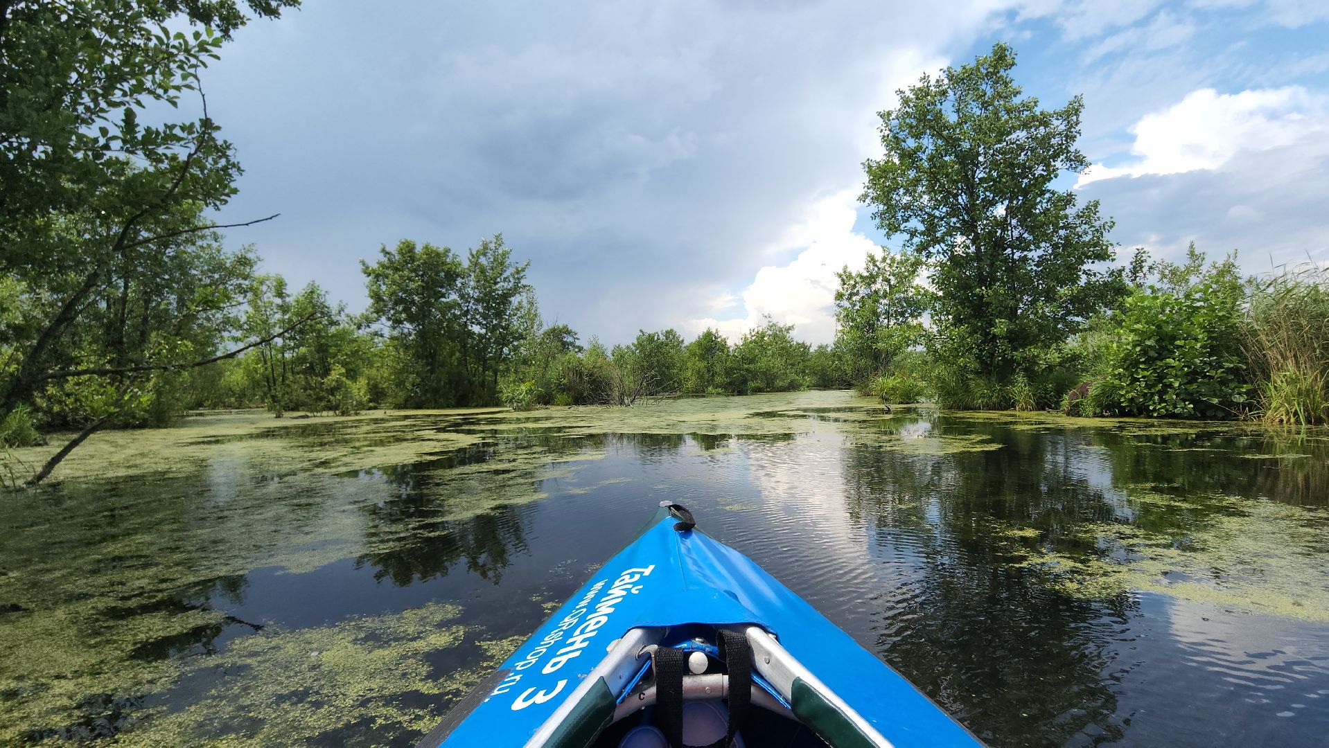 мытищи, лосиный остров,