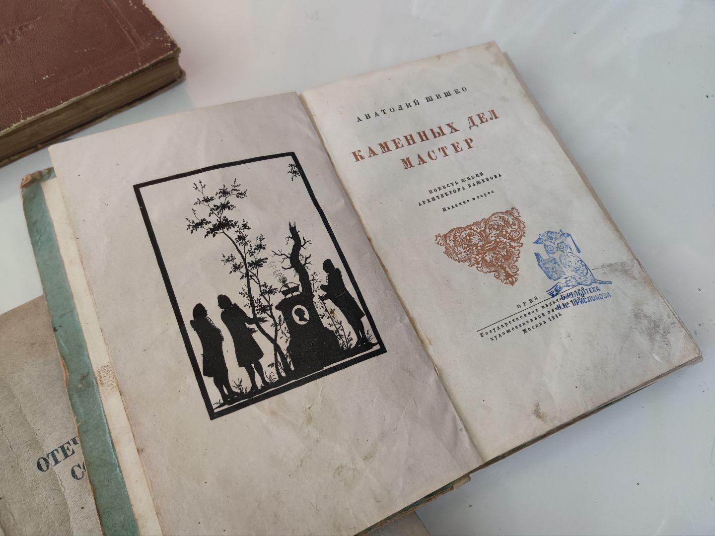 библиотека, акция, Дубна