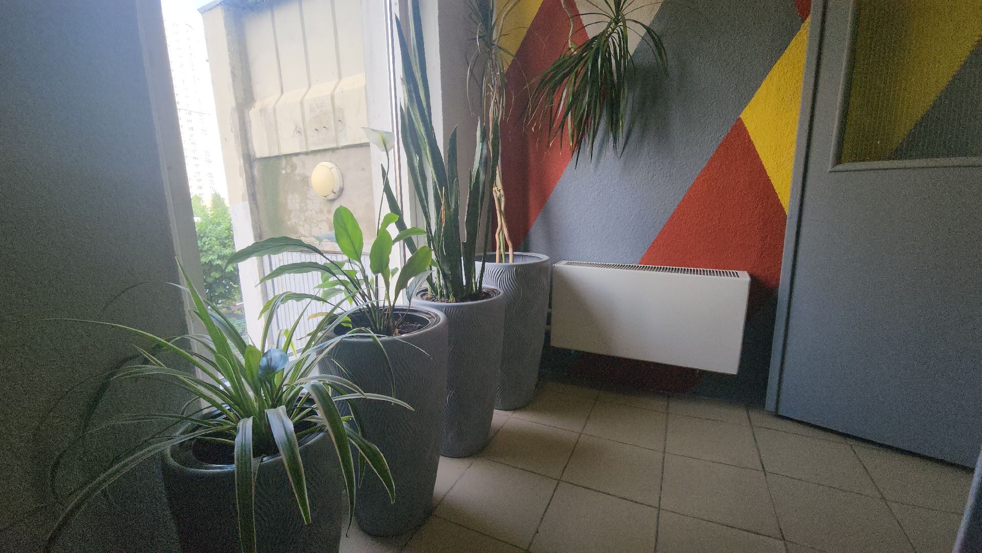 Люберцы, ремонт подъезда, комфортная городская среда,