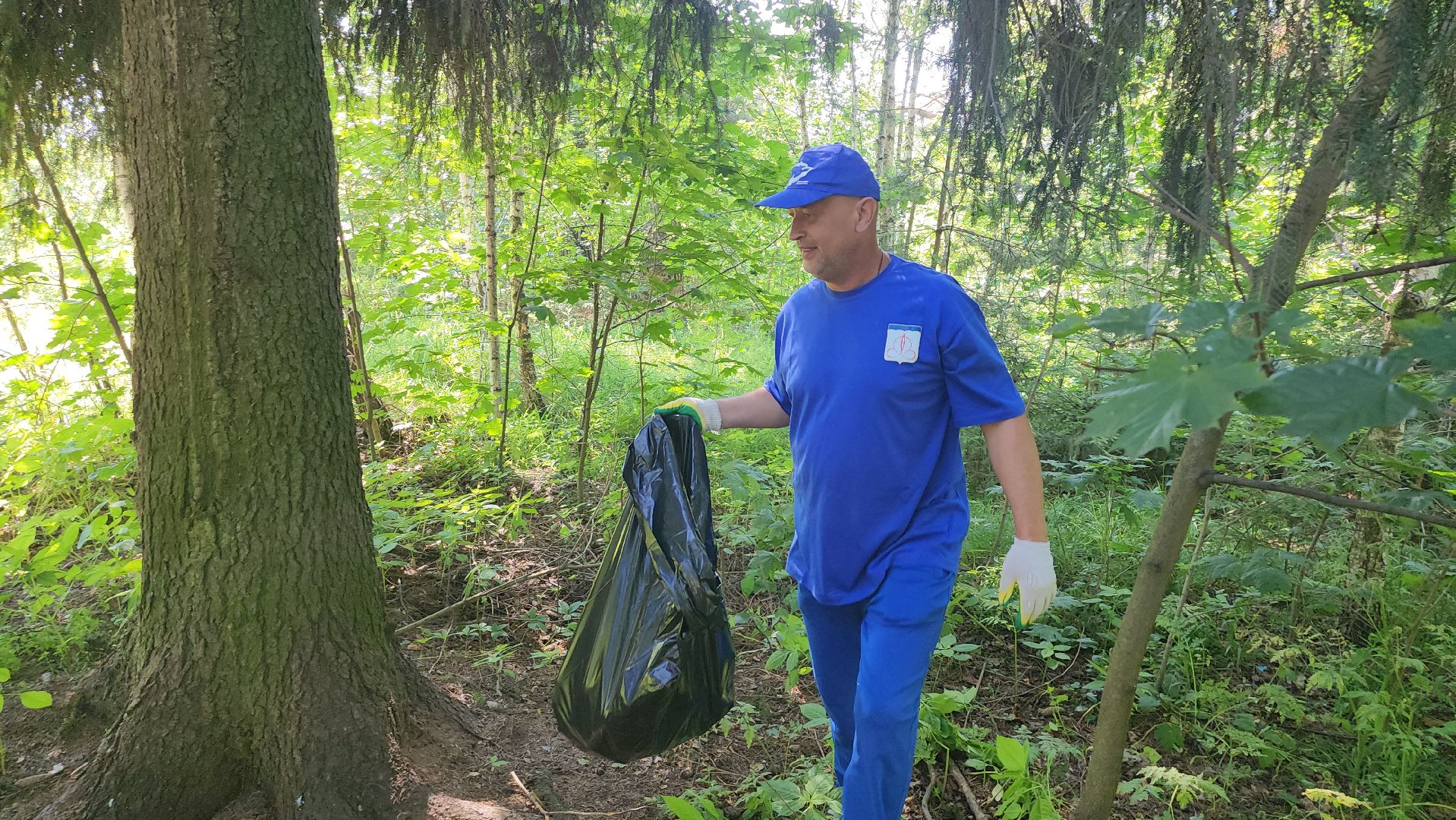 щёлково, эко акция, чистый лес, фряново,