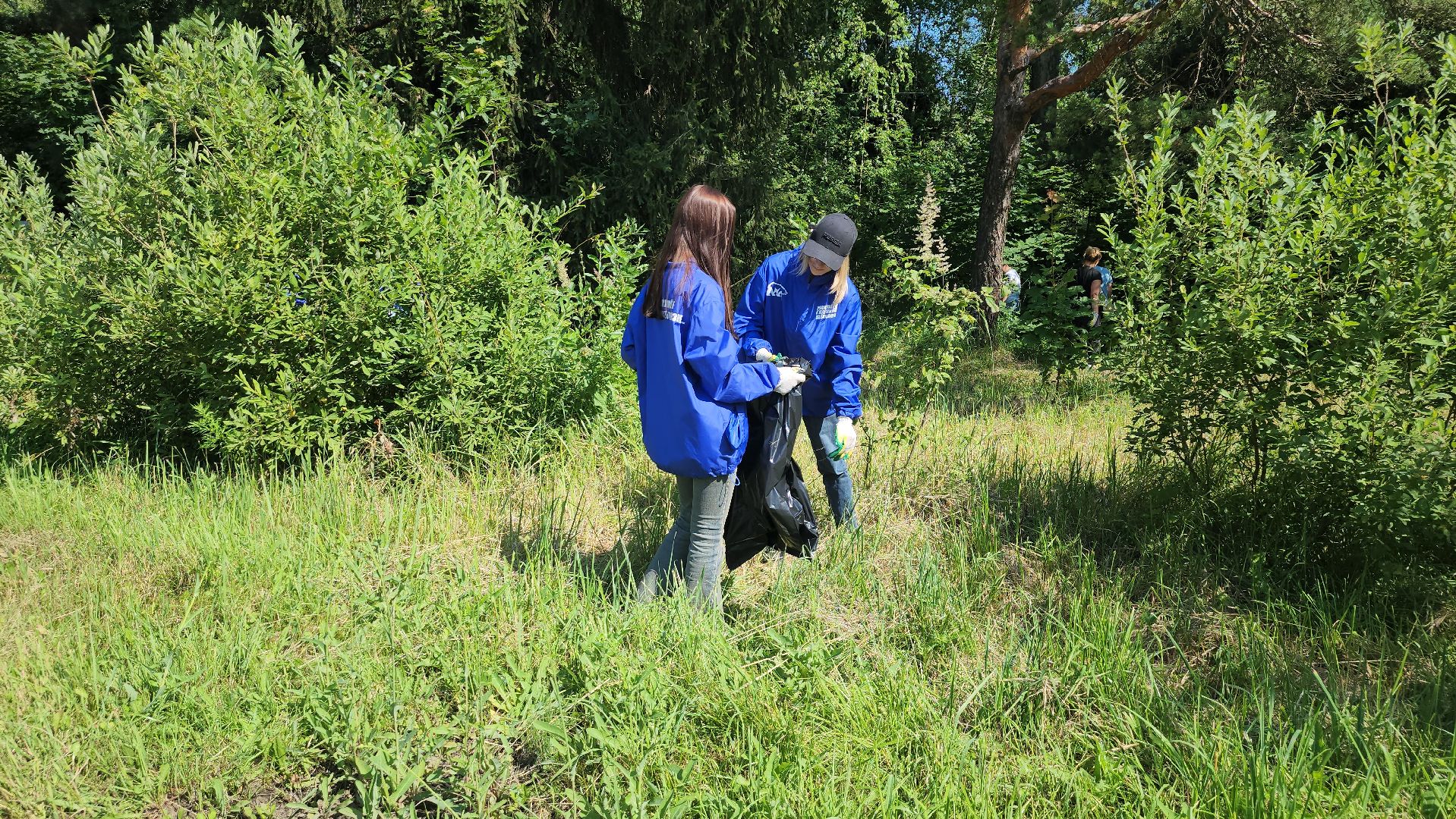 щёлково, эко акция, чистый лес, фряново,