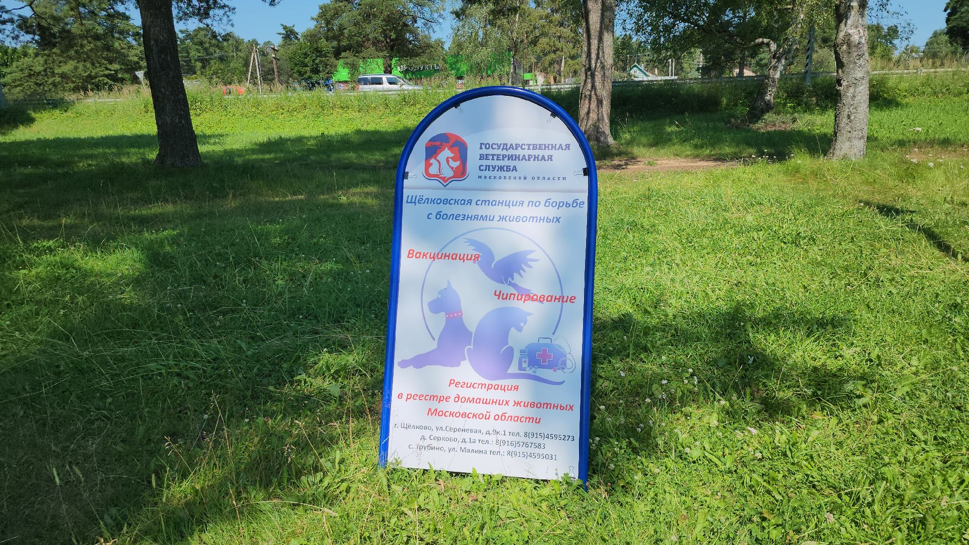щёлково, выездная вакцинация, вакцинация животных, чипирование домашних животных,