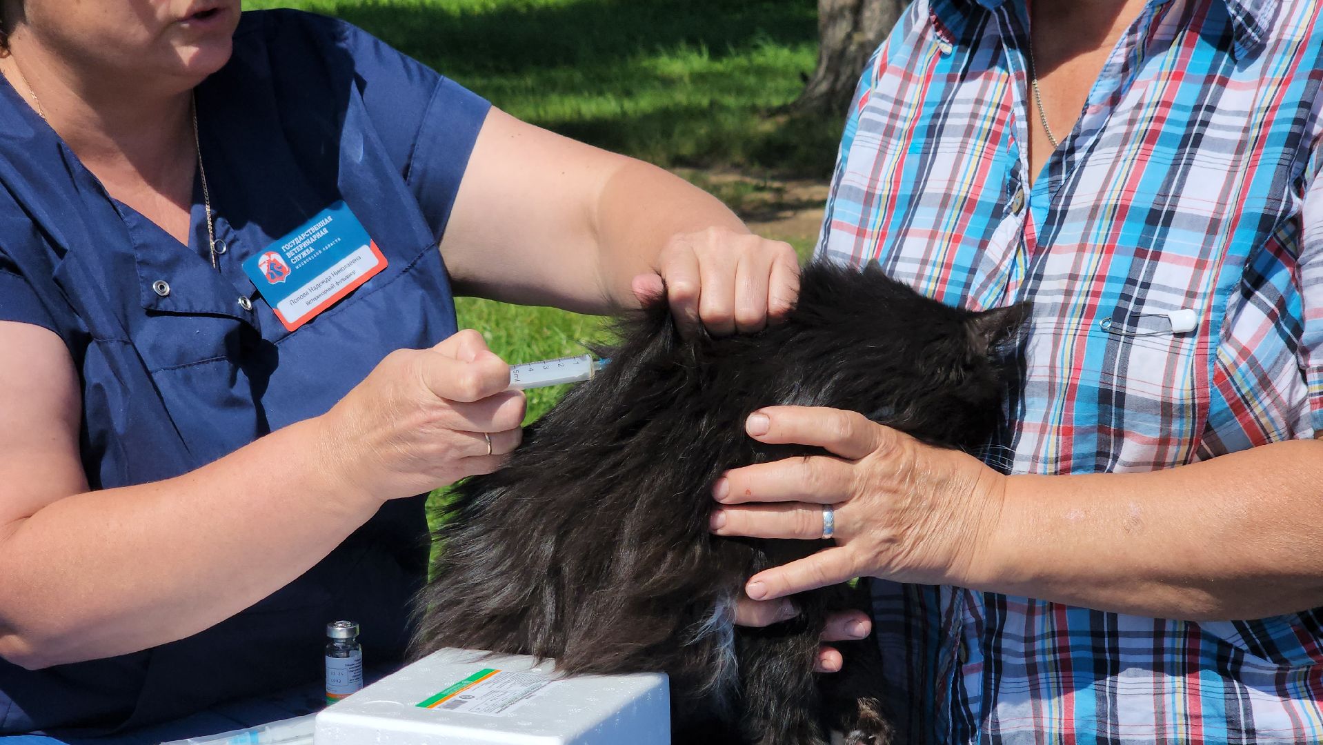 щёлково, выездная вакцинация, вакцинация животных, чипирование домашних животных,